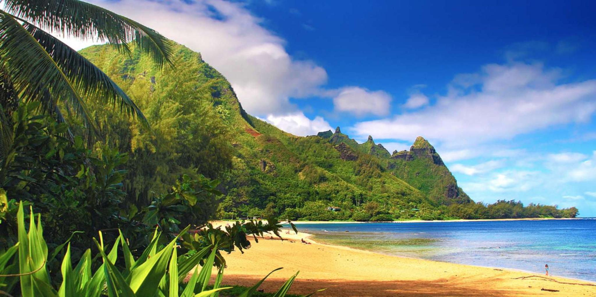 Kauai Private Tour