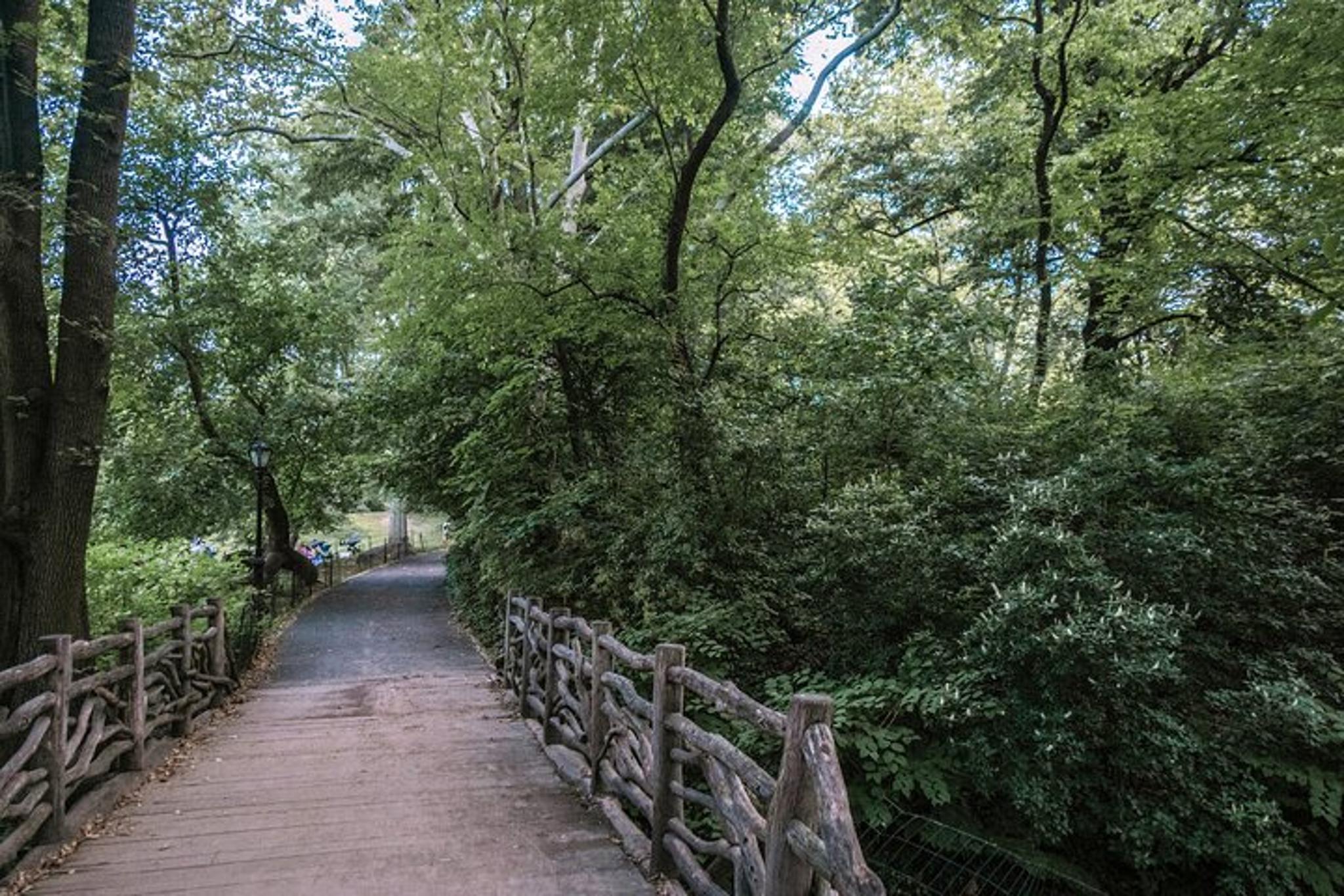 New York Central Park Bicycle Tour - Cinema - Image 4