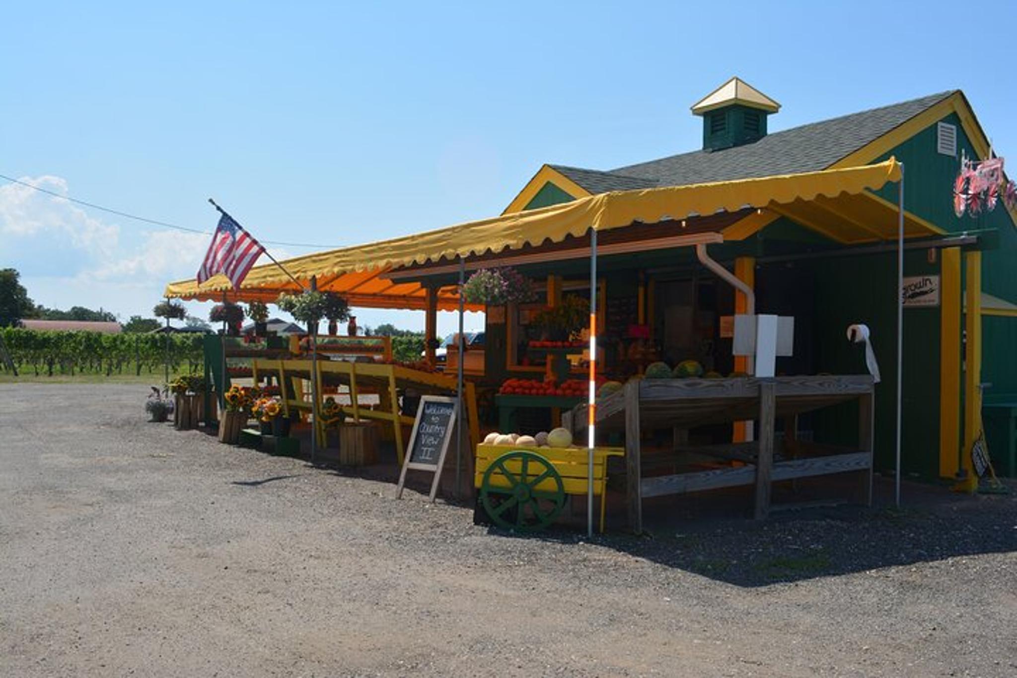 Mattituck Wine Country Bike Tour - Image 6