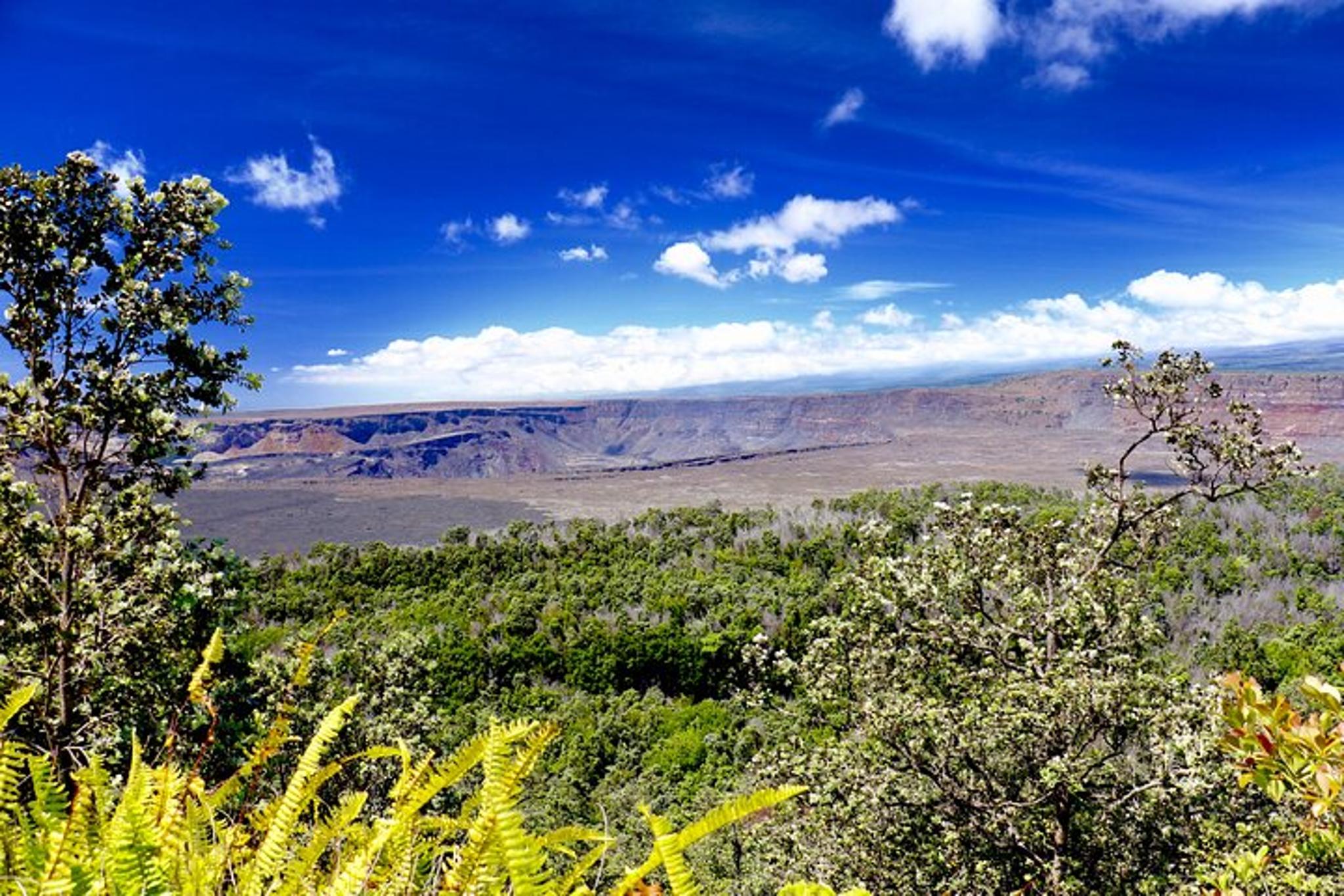 Hilo Kilauea Volcano & Rainbow Falls Tour