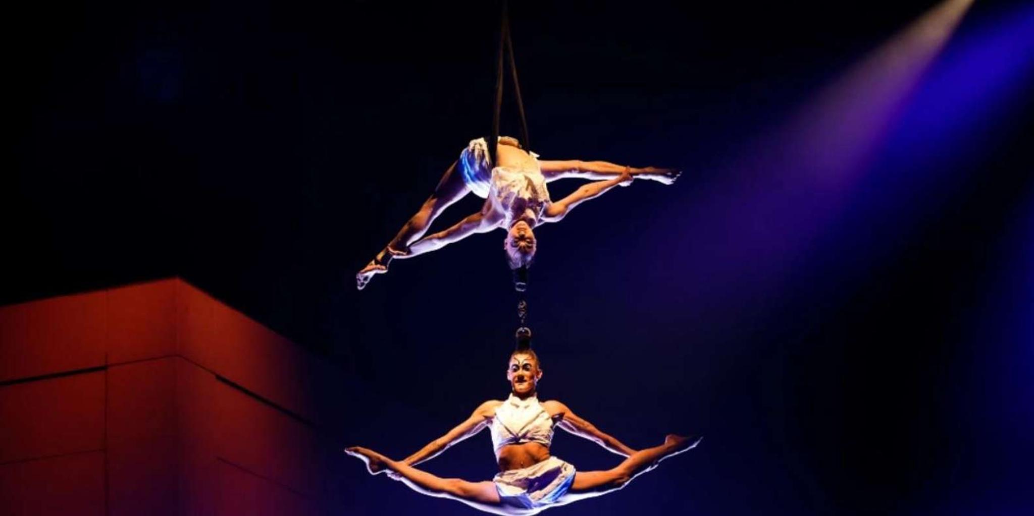 San Francisco Cirque du Soleil ECHO Show - Image 5