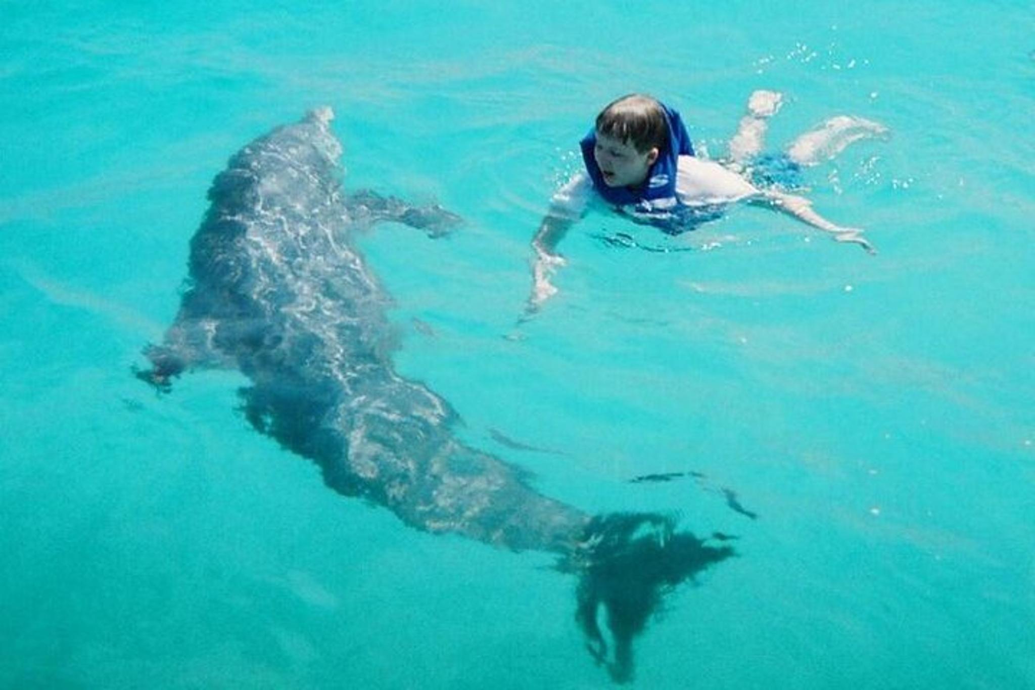 Panama City Dolphin and Snorkeling Tour - Image 1