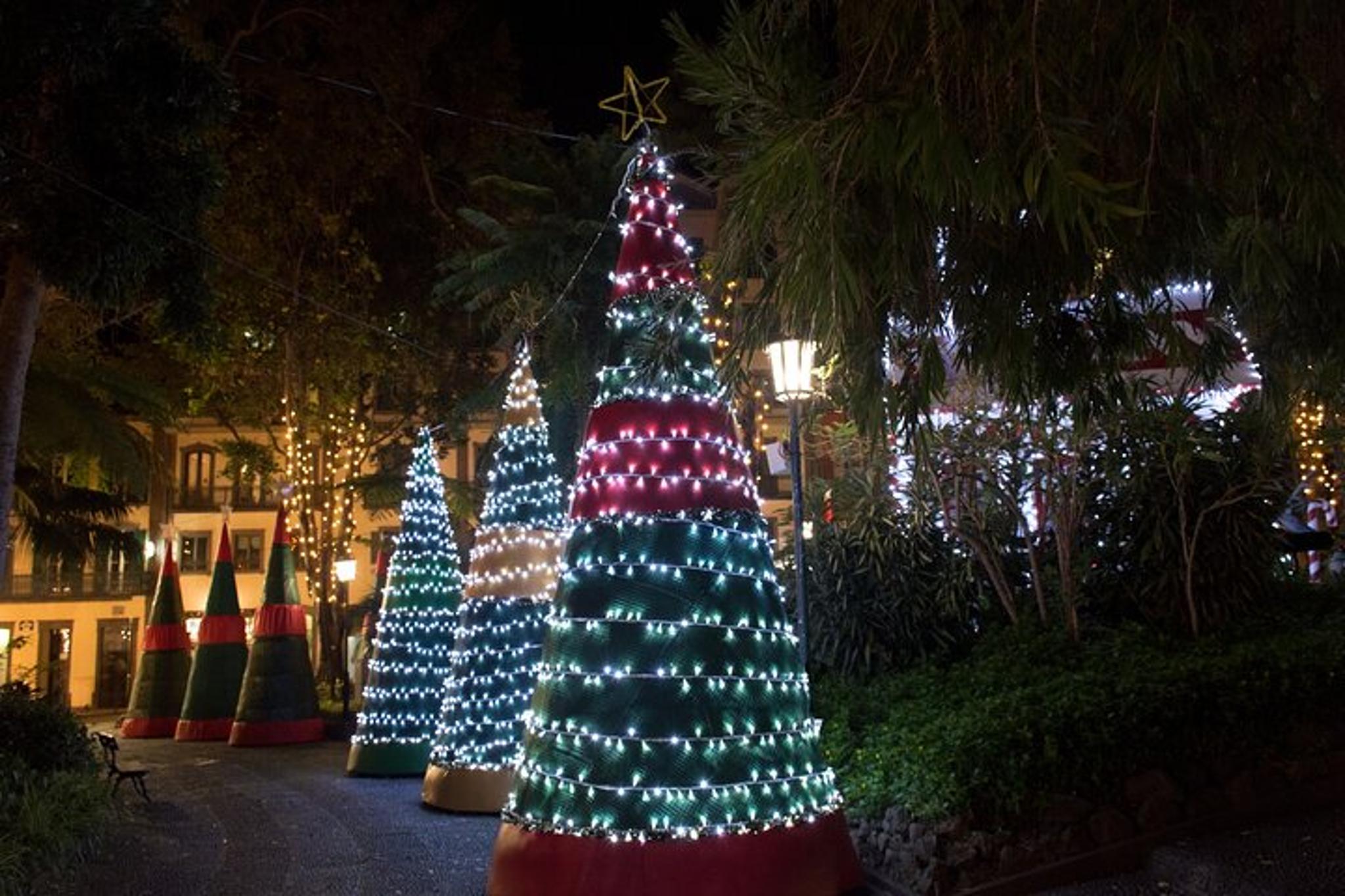 Tallahassee Art and Parks Christmas Tour - Image 4