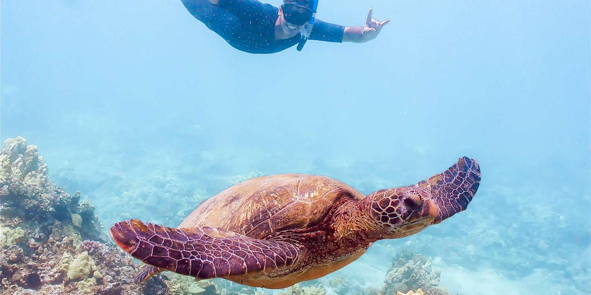 Maui Molokini Snorkeling Adventure