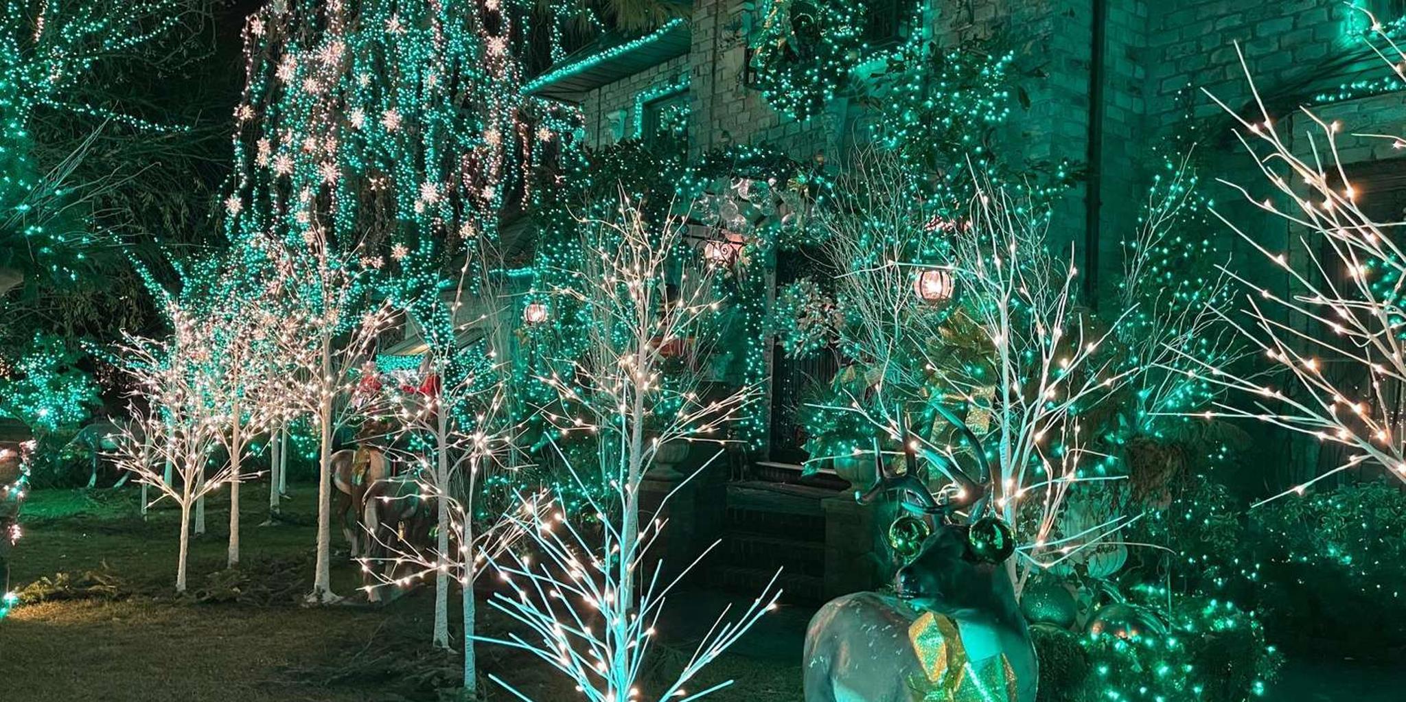 New York City Dyker Heights Christmas Lights Tour - Image 3