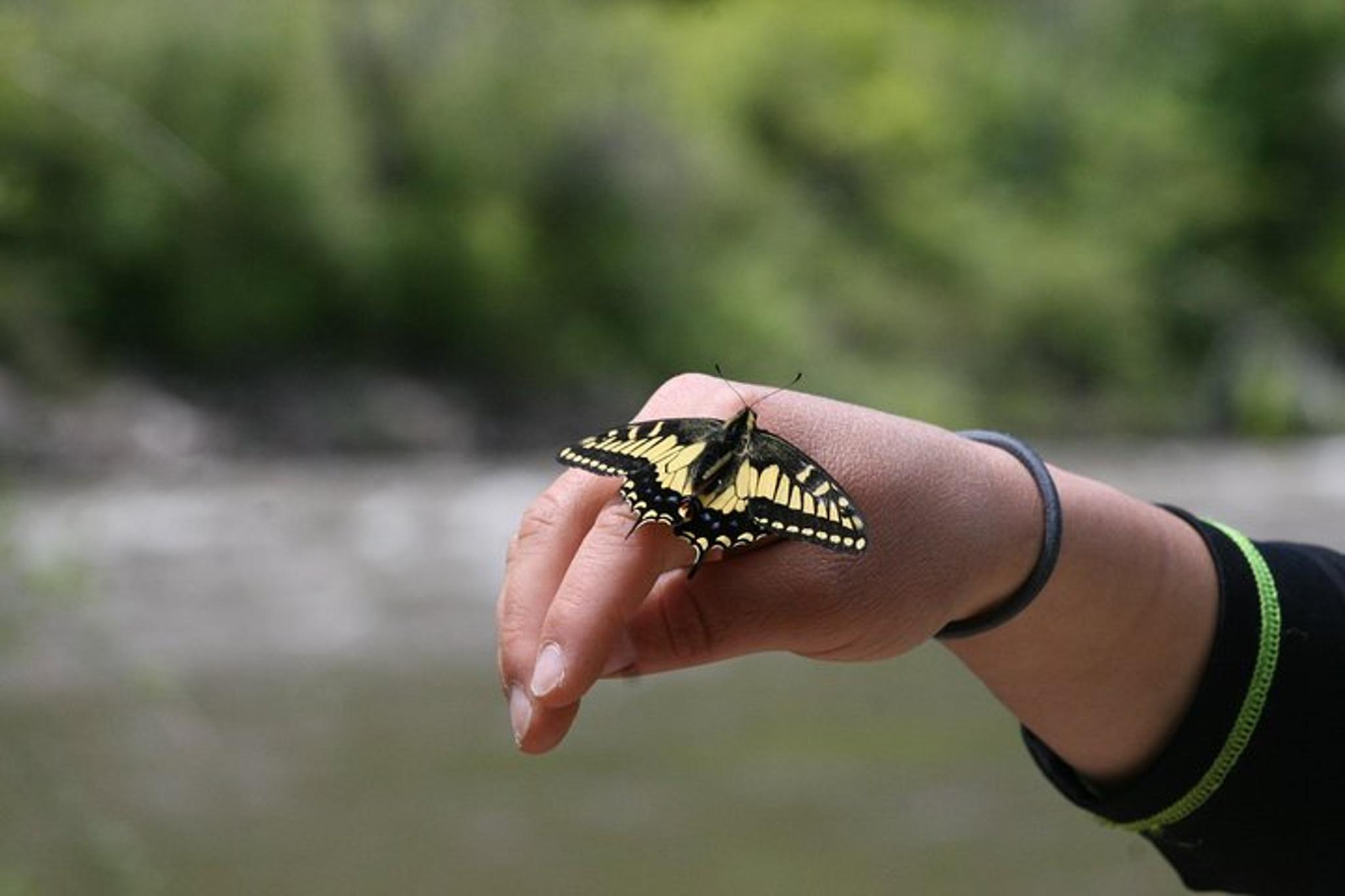 Glenwood Springs Rafting Trip - Image 6
