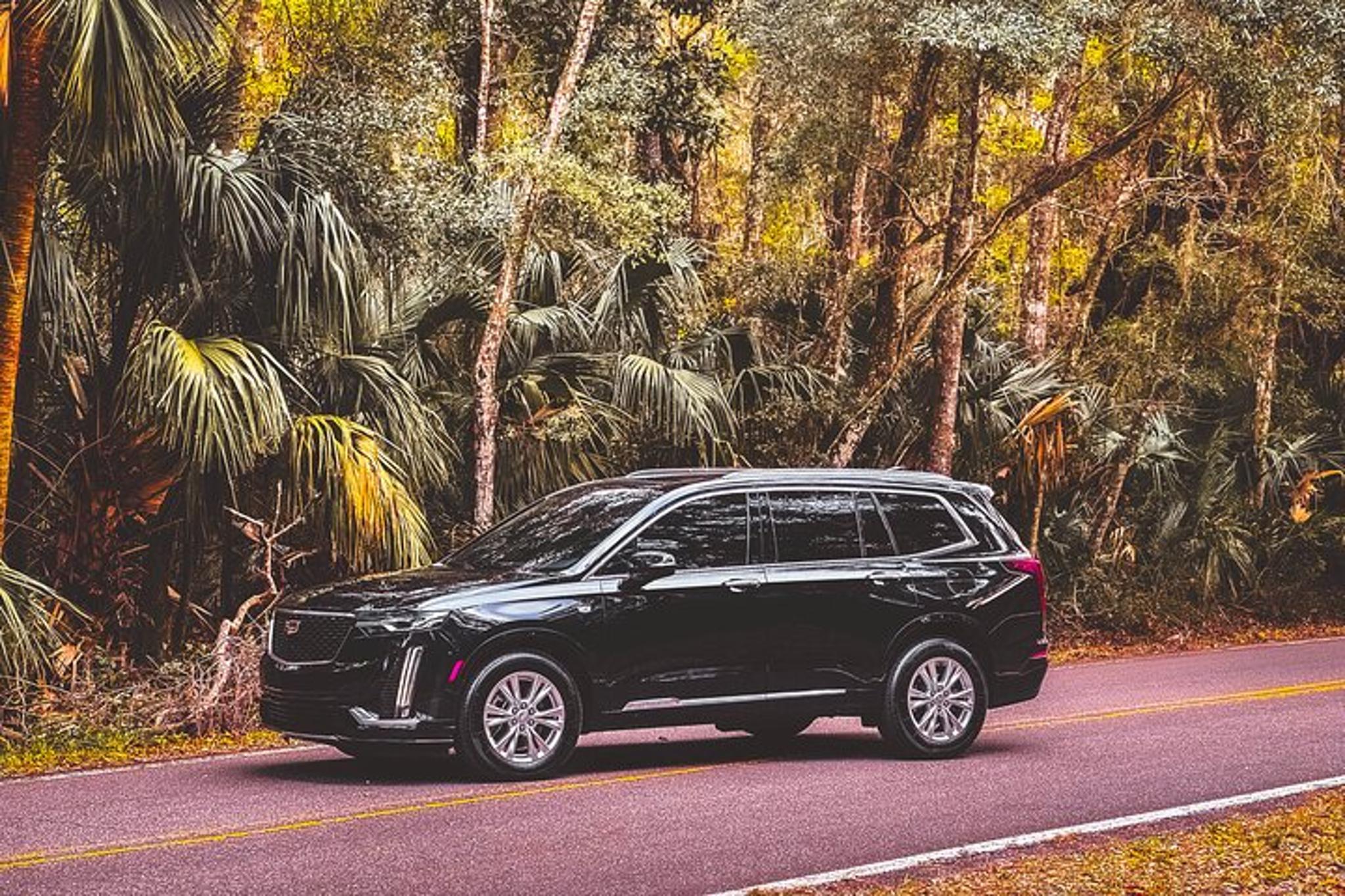 Jacksonville Airport Car Transfer to Sea Island - Image 5
