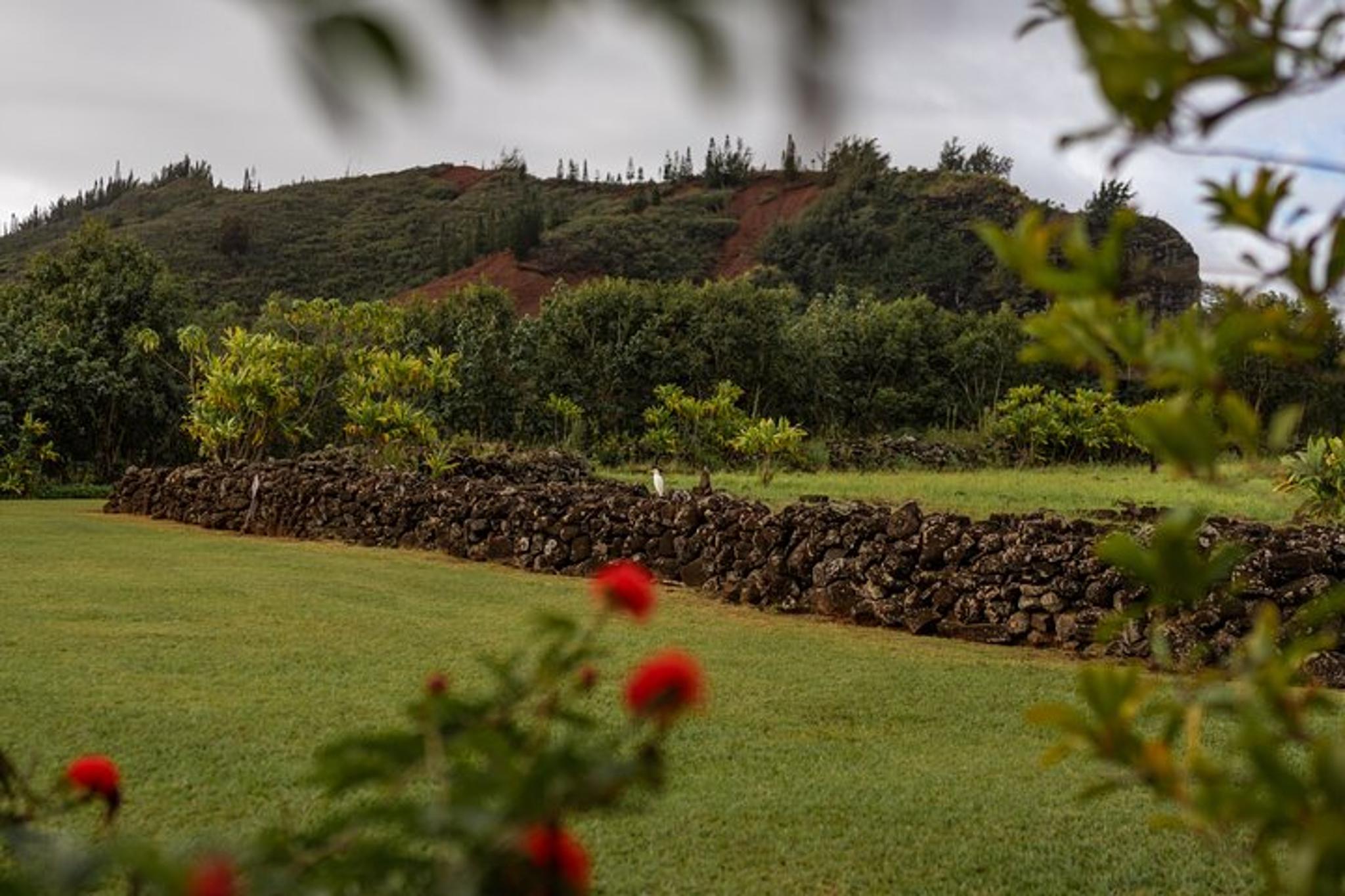 Kauai East Side Trolley Adventure - Image 2