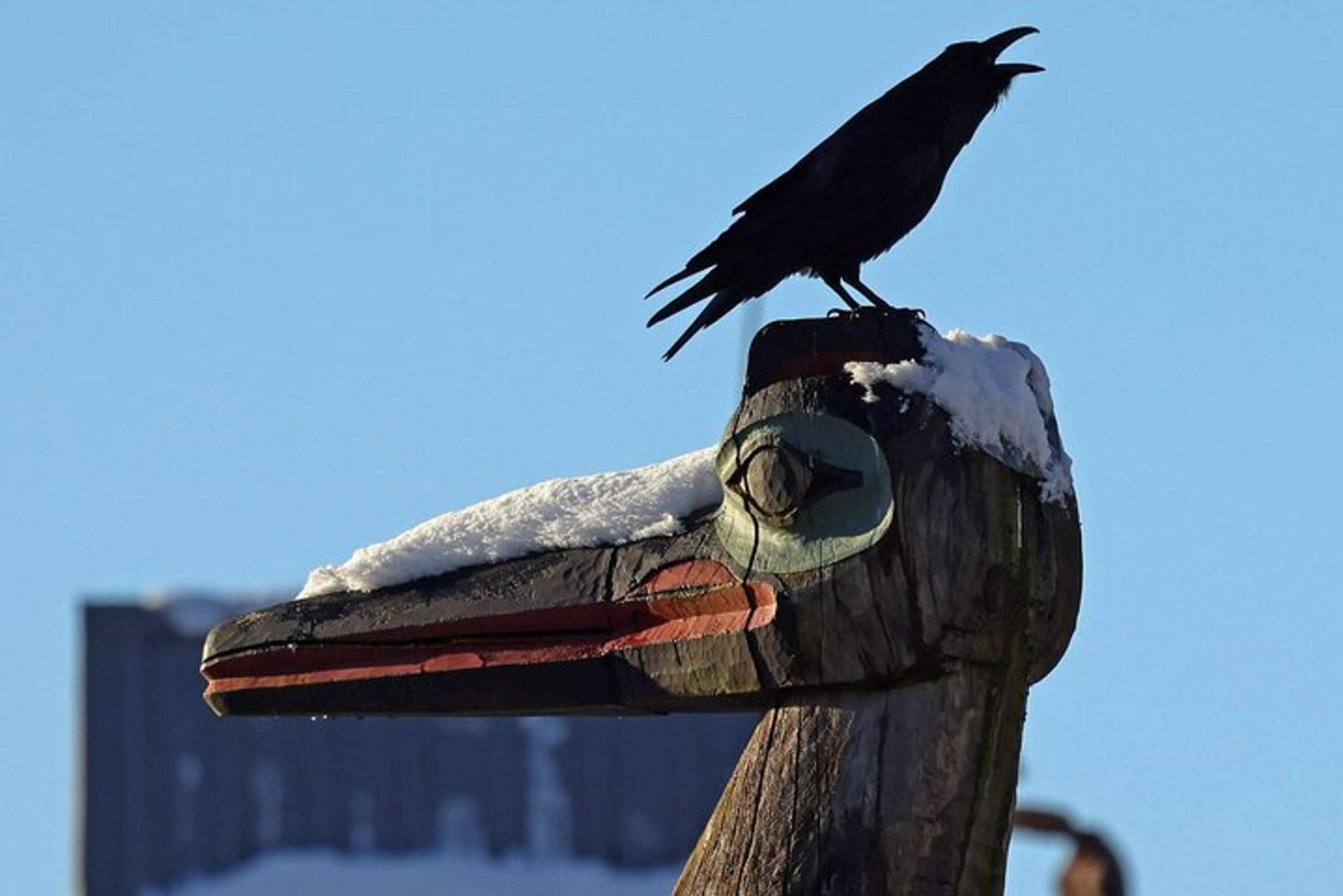 Ketchikan Private Custom Excursion - Image 4