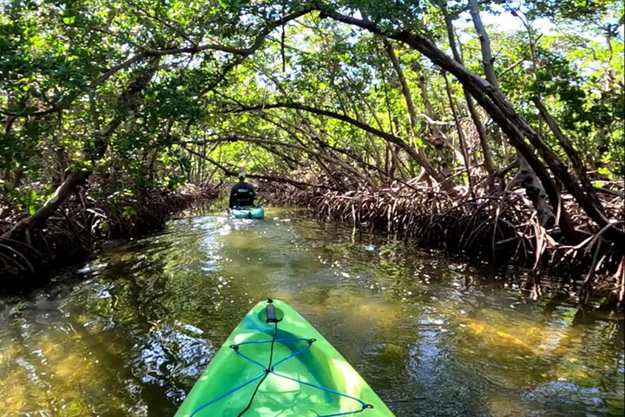 Bradenton Pedal Kayak Mangrove Tunnel Tour - Image 2