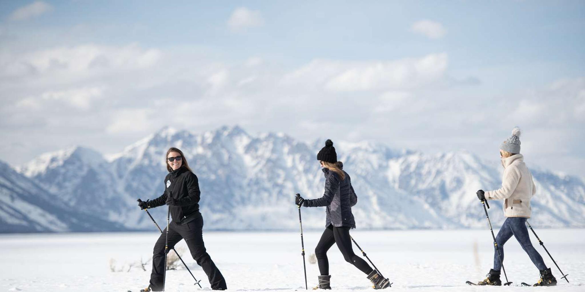 Jackson Wildlife and Snowshoe Tour in Grand Teton
