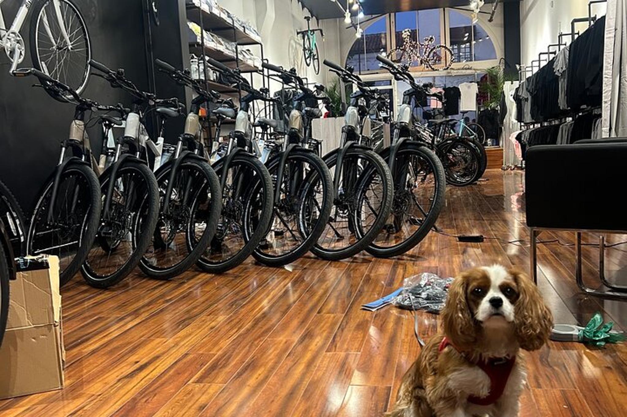 Santa Barbara Electric Bike Rental - Image 3