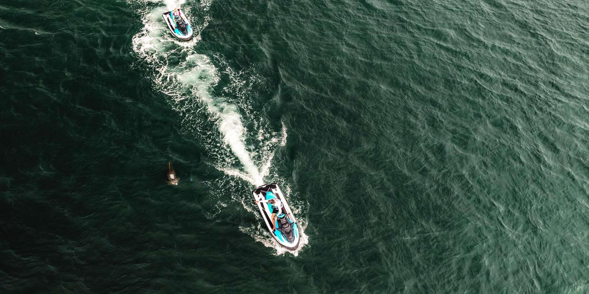 Panama City Beach Jet Ski Tour to Shell Island - Image 6