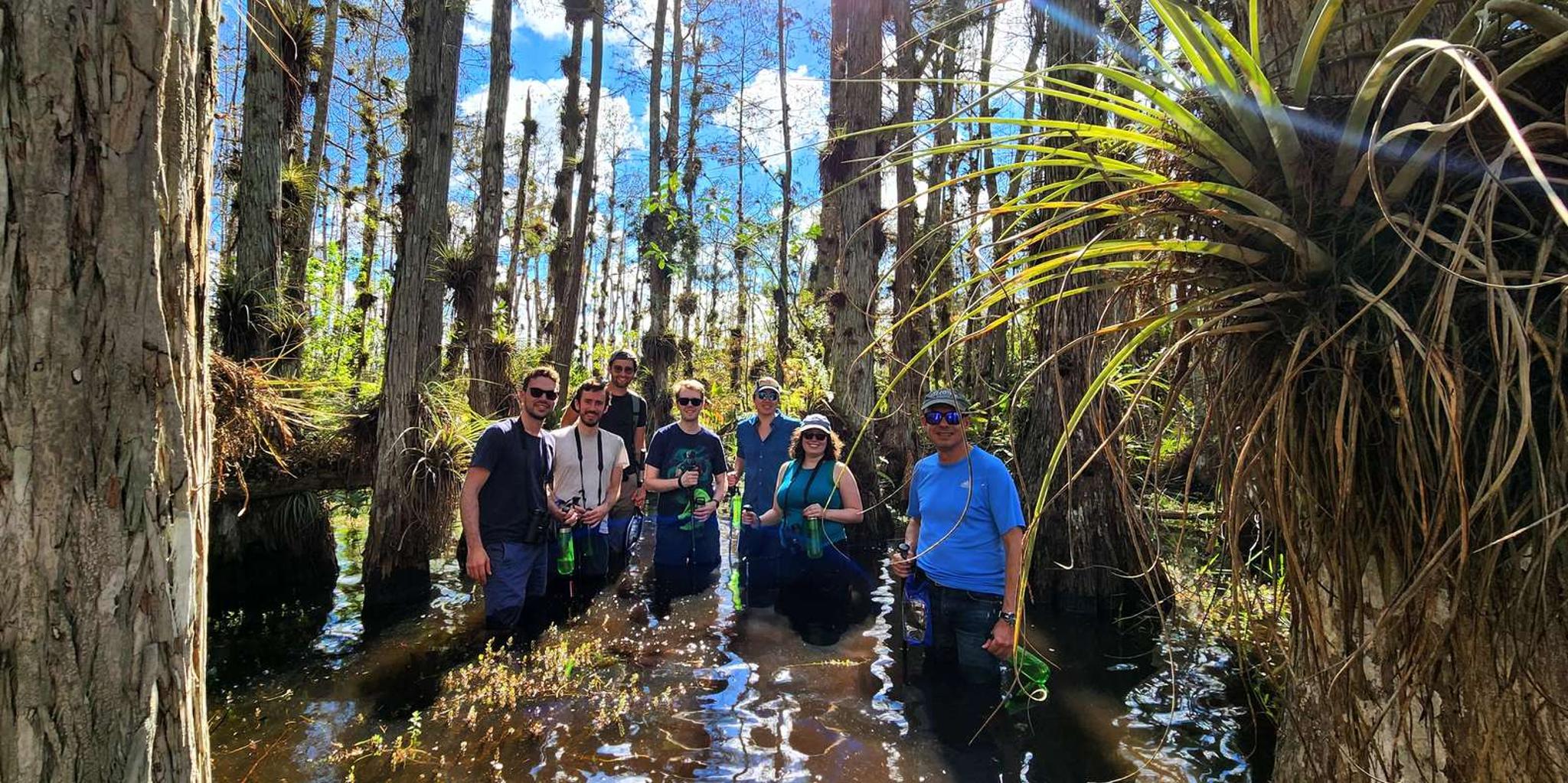 Miami Everglades Tour with Wet Walk and Boat Trips