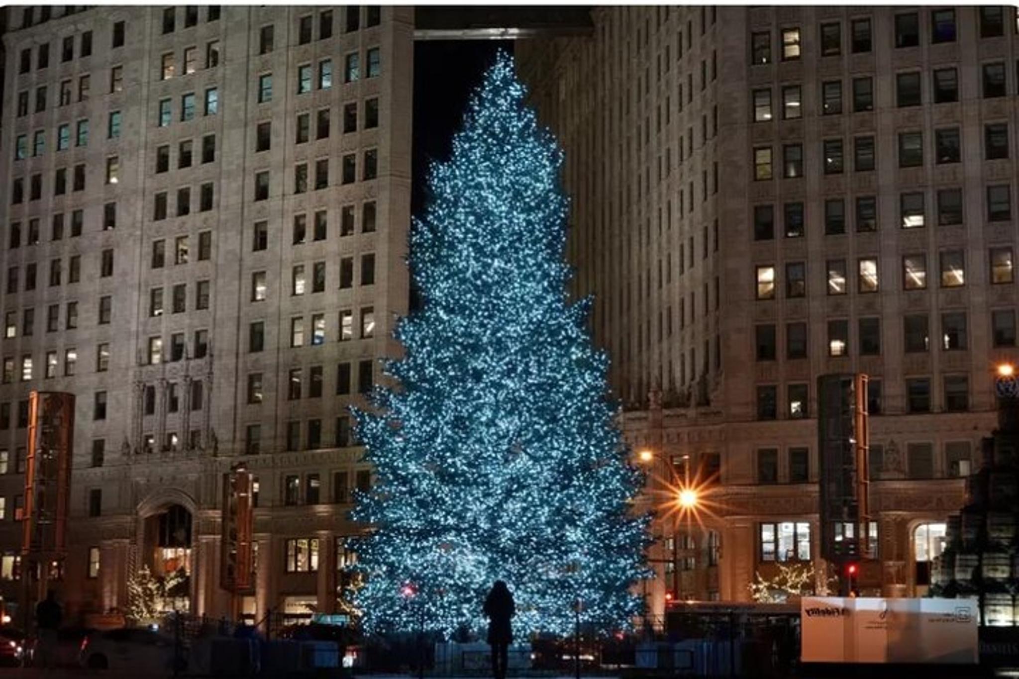 Chicago Holiday City Tour - Image 2