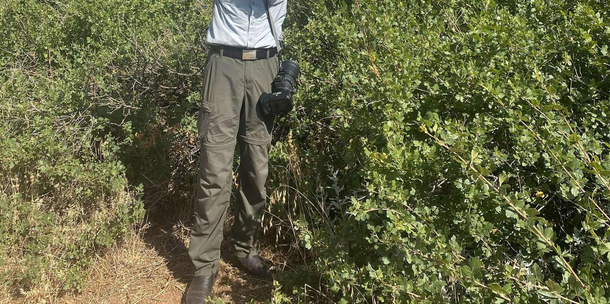 Denver Red Rocks Hike and Hot Spring Soak 8 hr - Image 3
