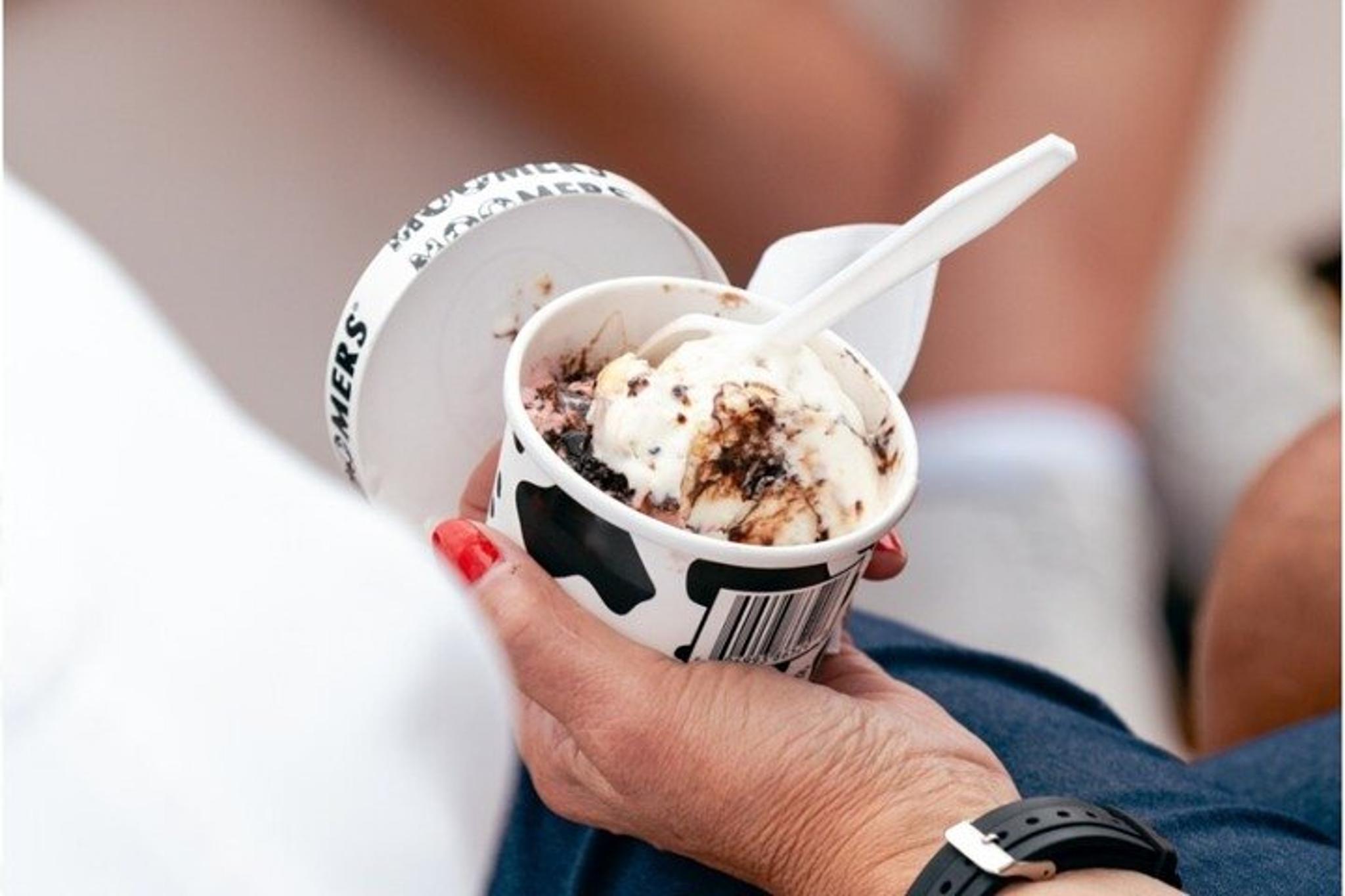 Traverse City Ice Cream Sail - Image 6