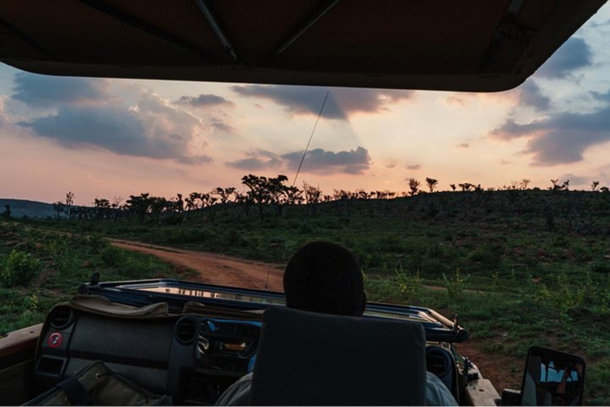 Durban Big 5 Safari Open Vehicle 14 hr - Image 2