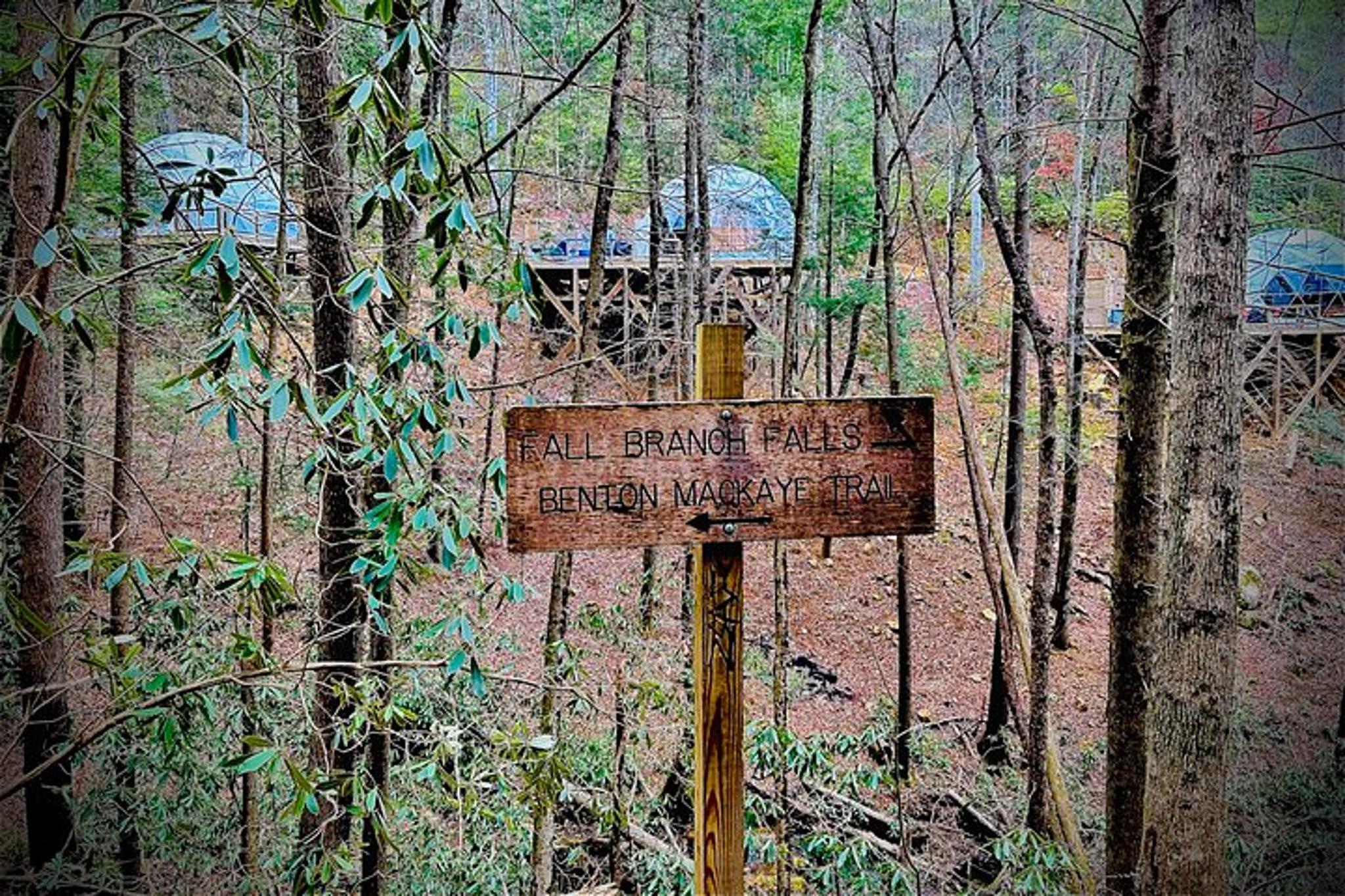 Atlanta Hike and Wine Tasting Tour - Image 5