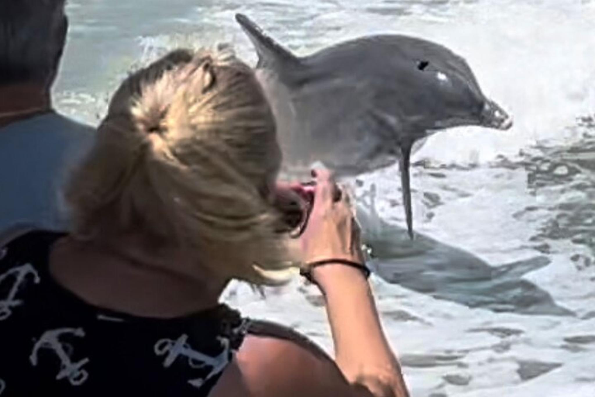 Marco Island Dolphin Tour - Image 5