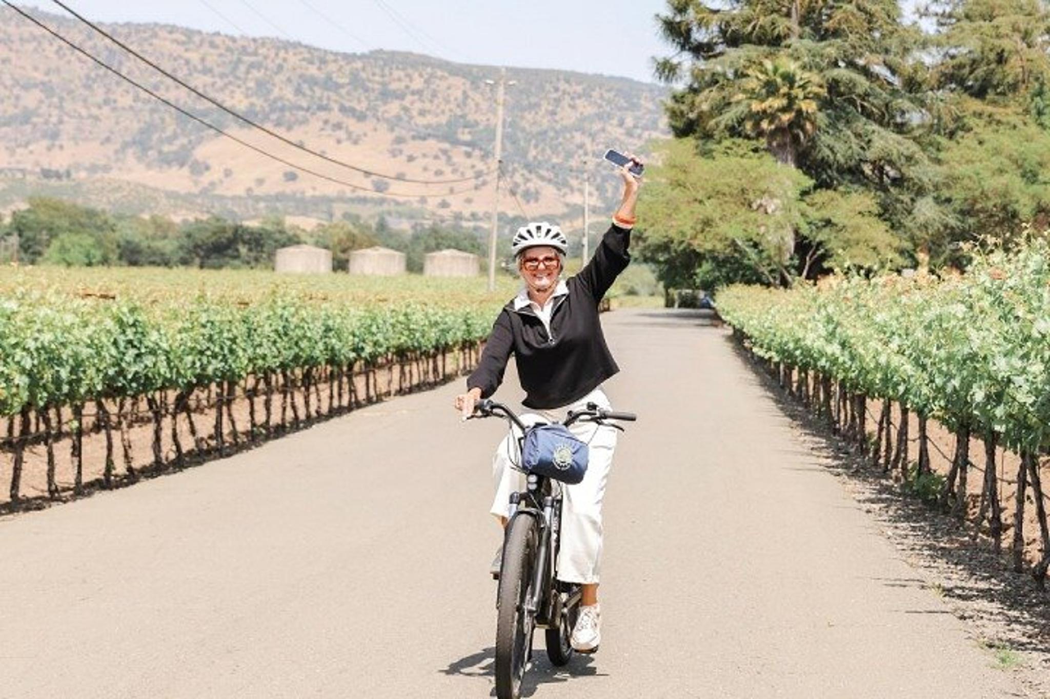 Napa Electric Bike Rental Full-Day - Image 2