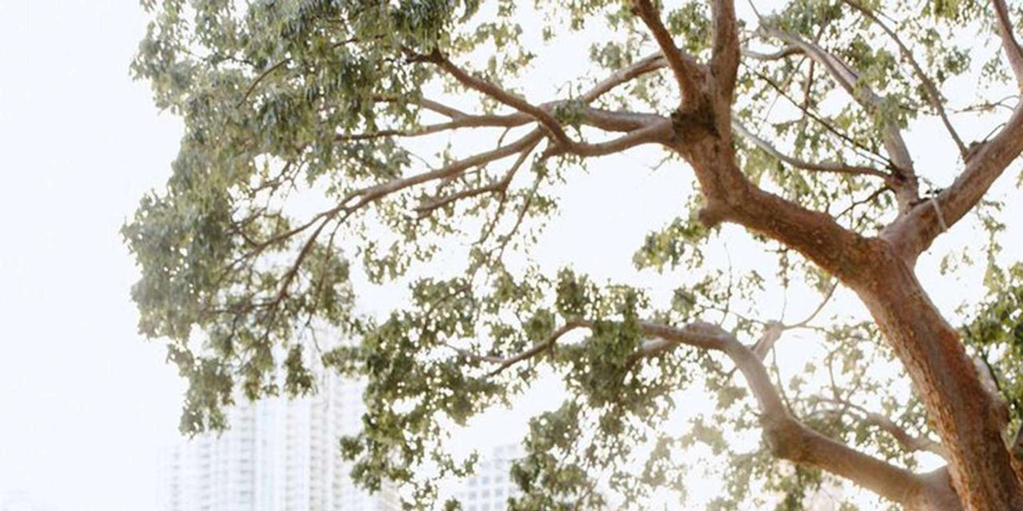 Miami Instagram Tour with Private Photographer - Image 5