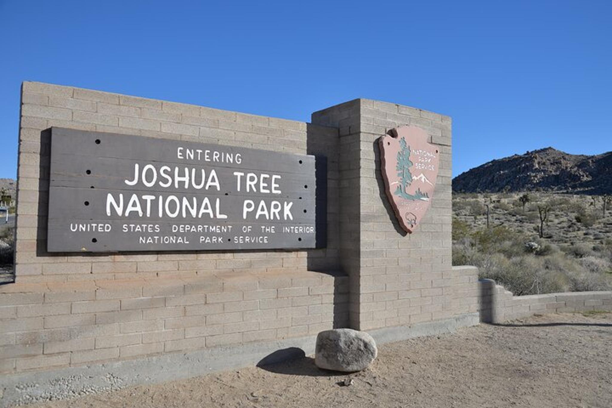 Los Angeles Joshua Tree National Park Private Tour 2 Days - Image 3
