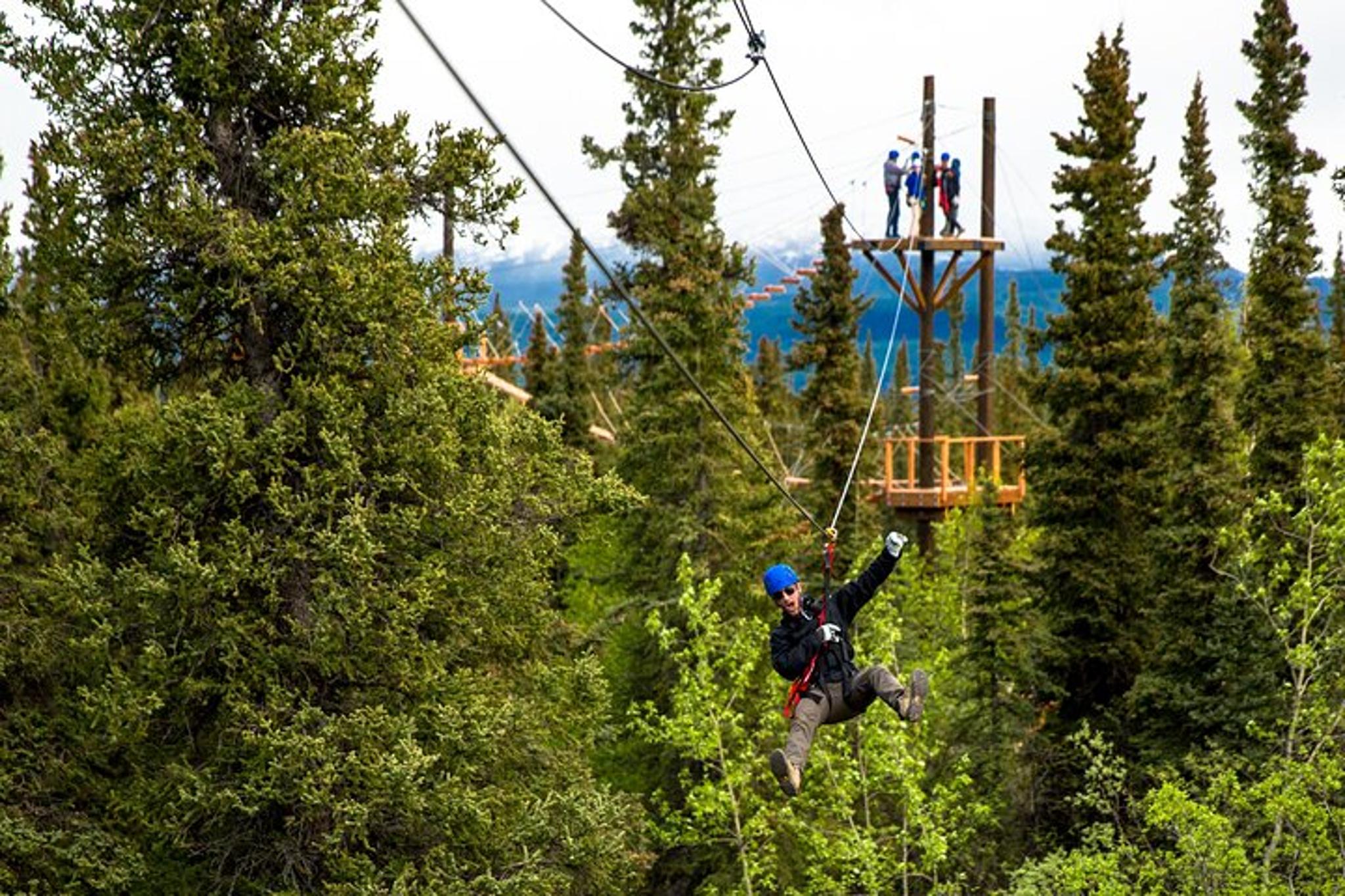 Denali Zipline and Brewpub Visit Half-Day Adventure - Image 6