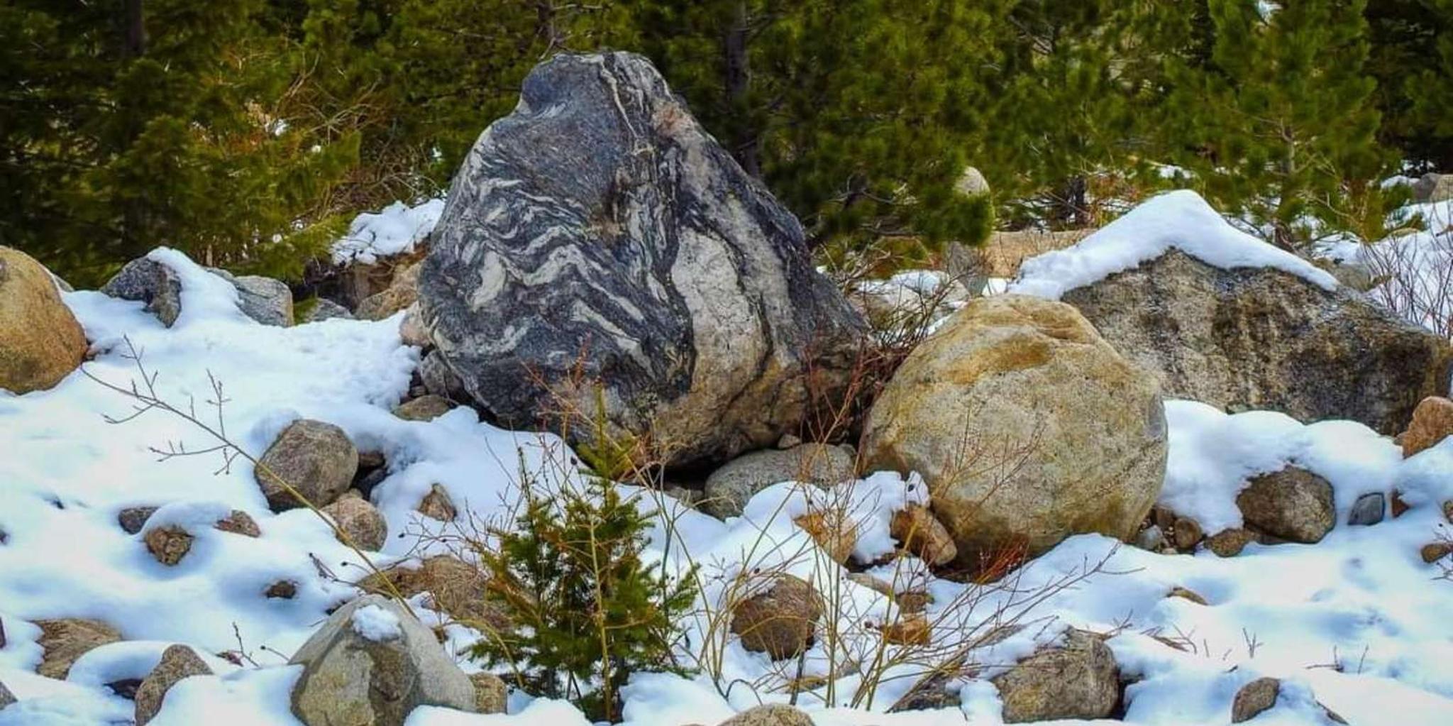 Rocky Mountain National Park Geology and Wildlife Private Tour - Image 6