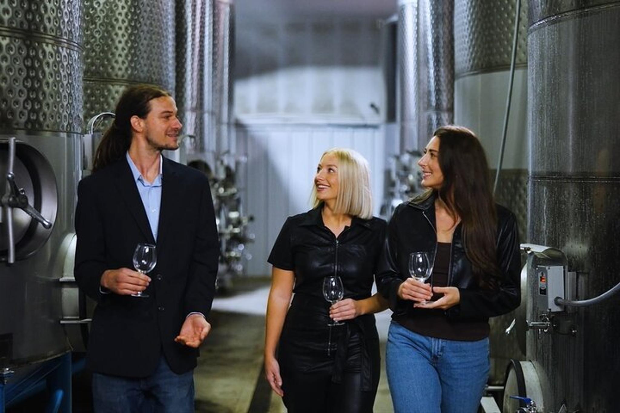 Chattanooga Wine Tasting and Art Tour - Image 4