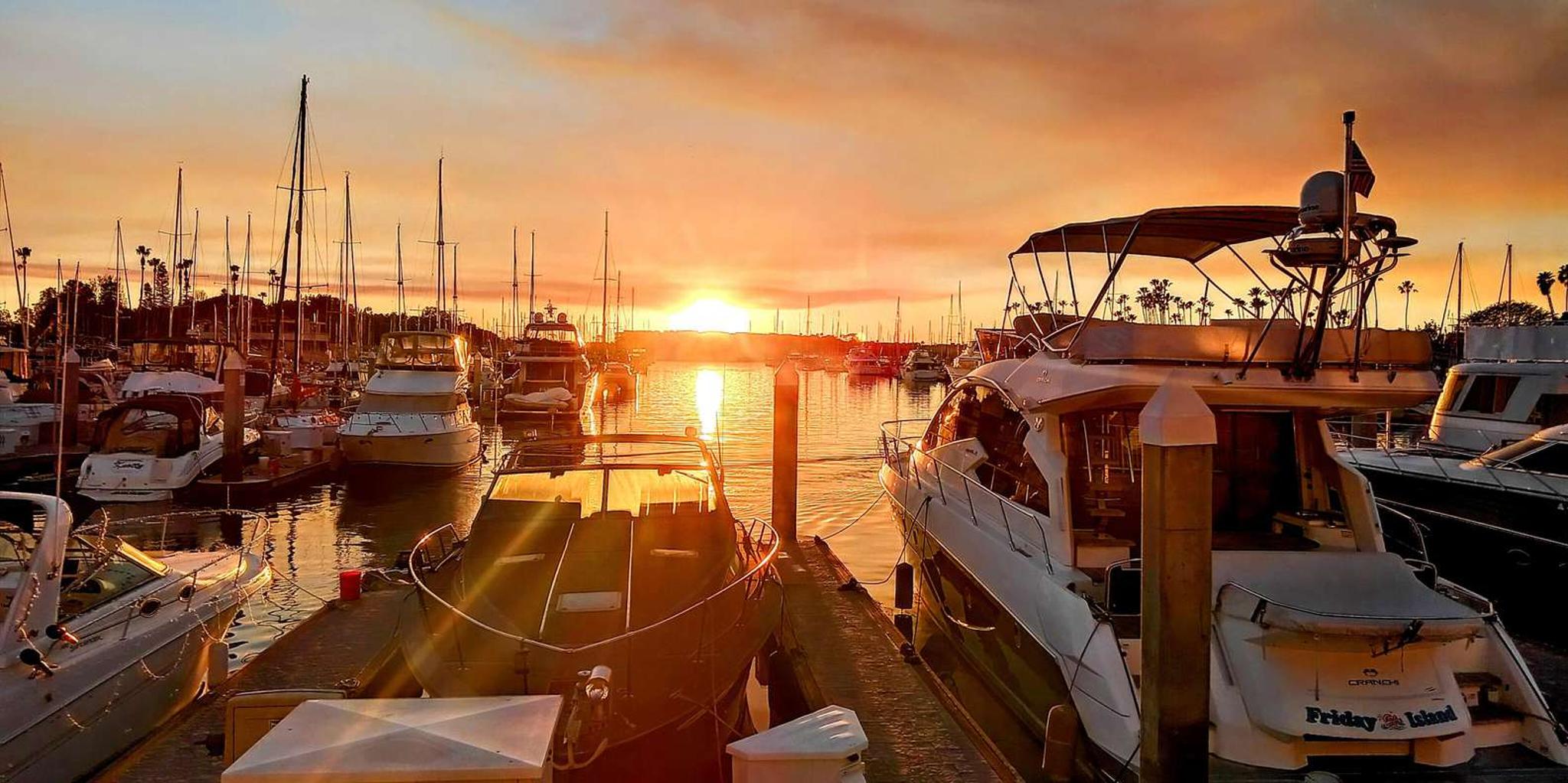 Marina del Rey Scenic Wildlife Boat Cruise - Image 5