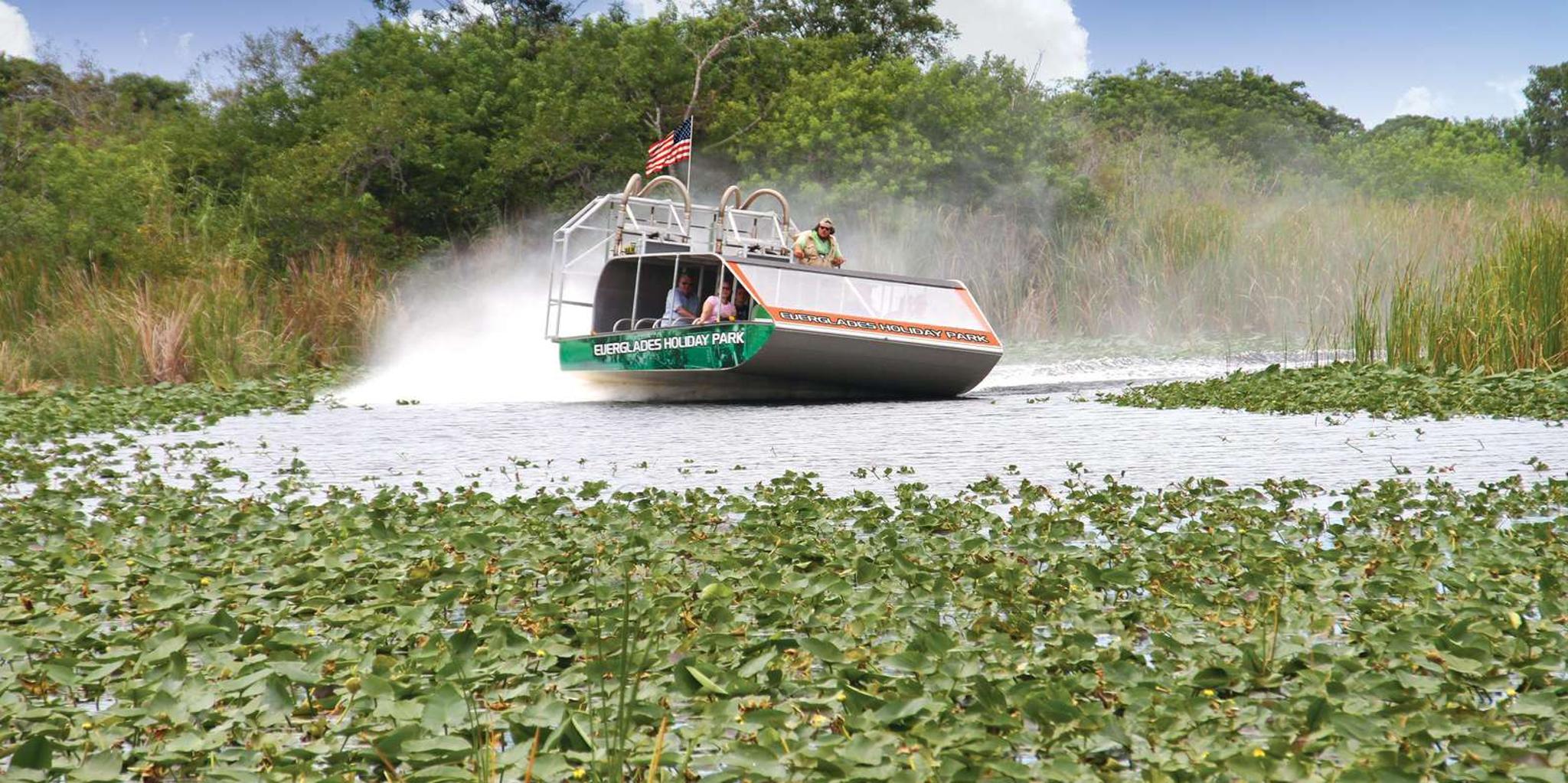 Miami Everglades Airboat Ride and Gator Encounter - Image 2