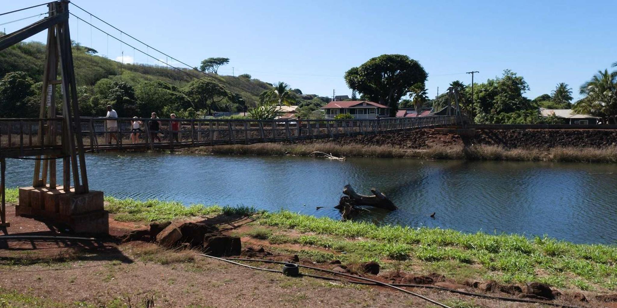 Kauai Waimea Canyon and Koke'e Adventure Tour from Oahu - Image 6