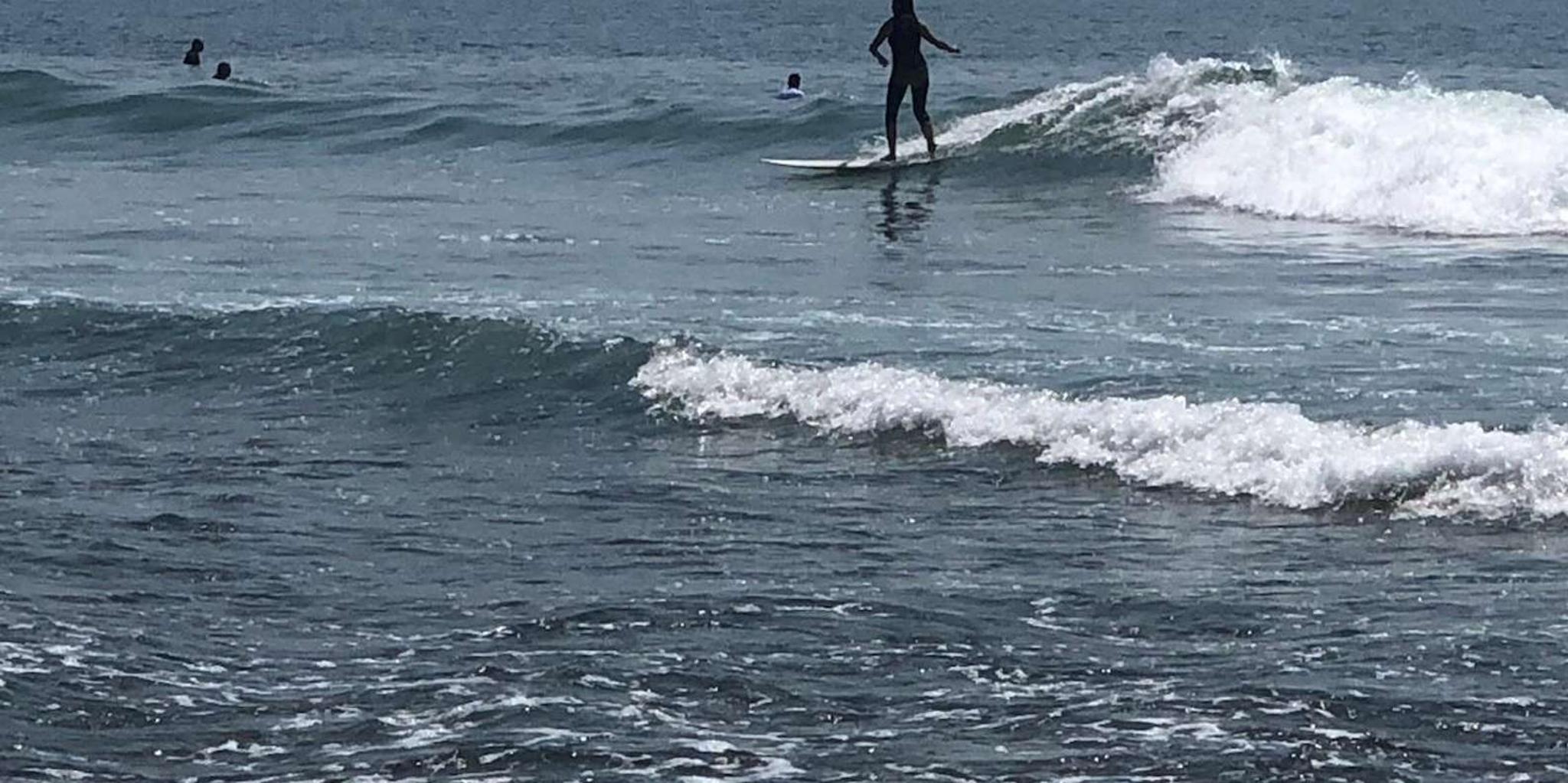 Santa Monica Surfing Day Trip - Image 3