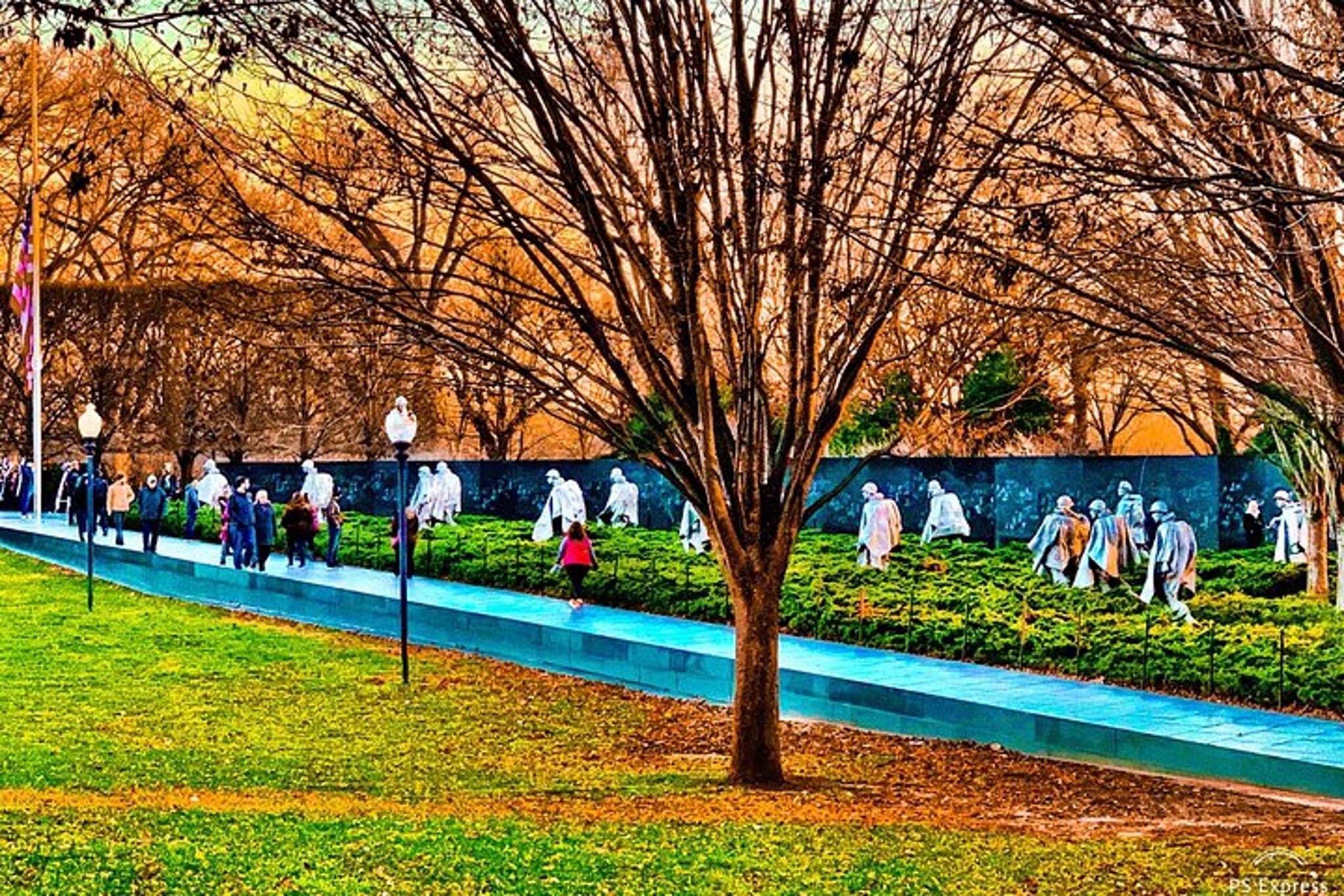 Washington DC City Guided Tour in Private Vehicle - Image 5