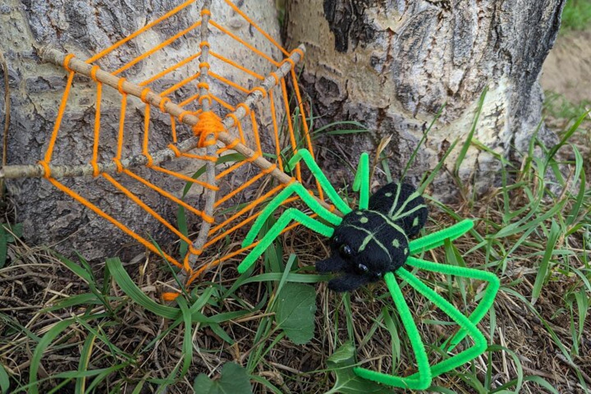 Estes Park Spider Art Class - Image 4