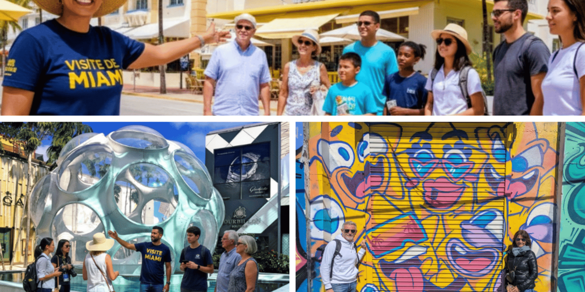 Miami South Beach, Design District & Wynwood French Tour - Image 1
