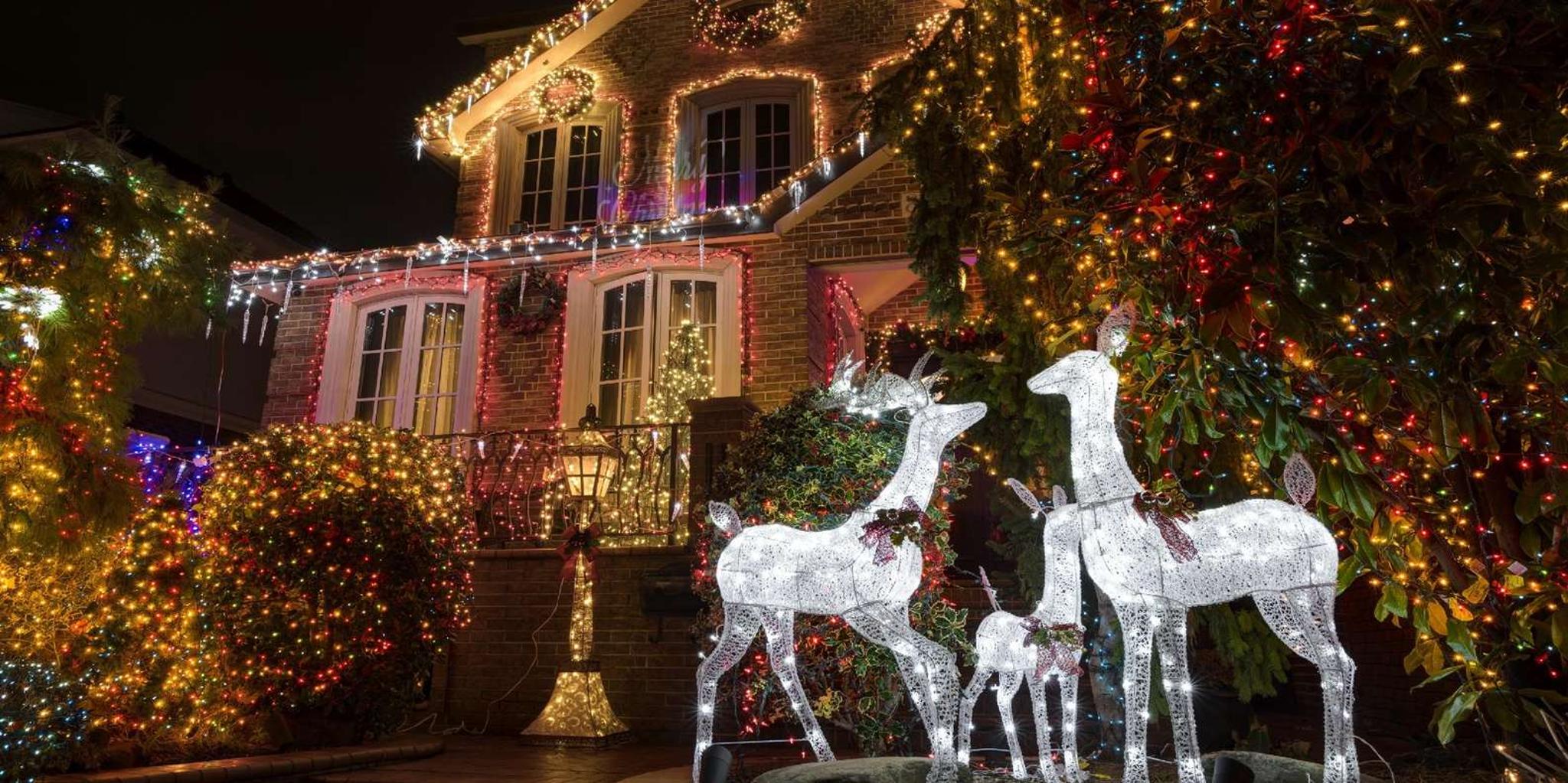 New York City Christmas Lights Tour - Image 4