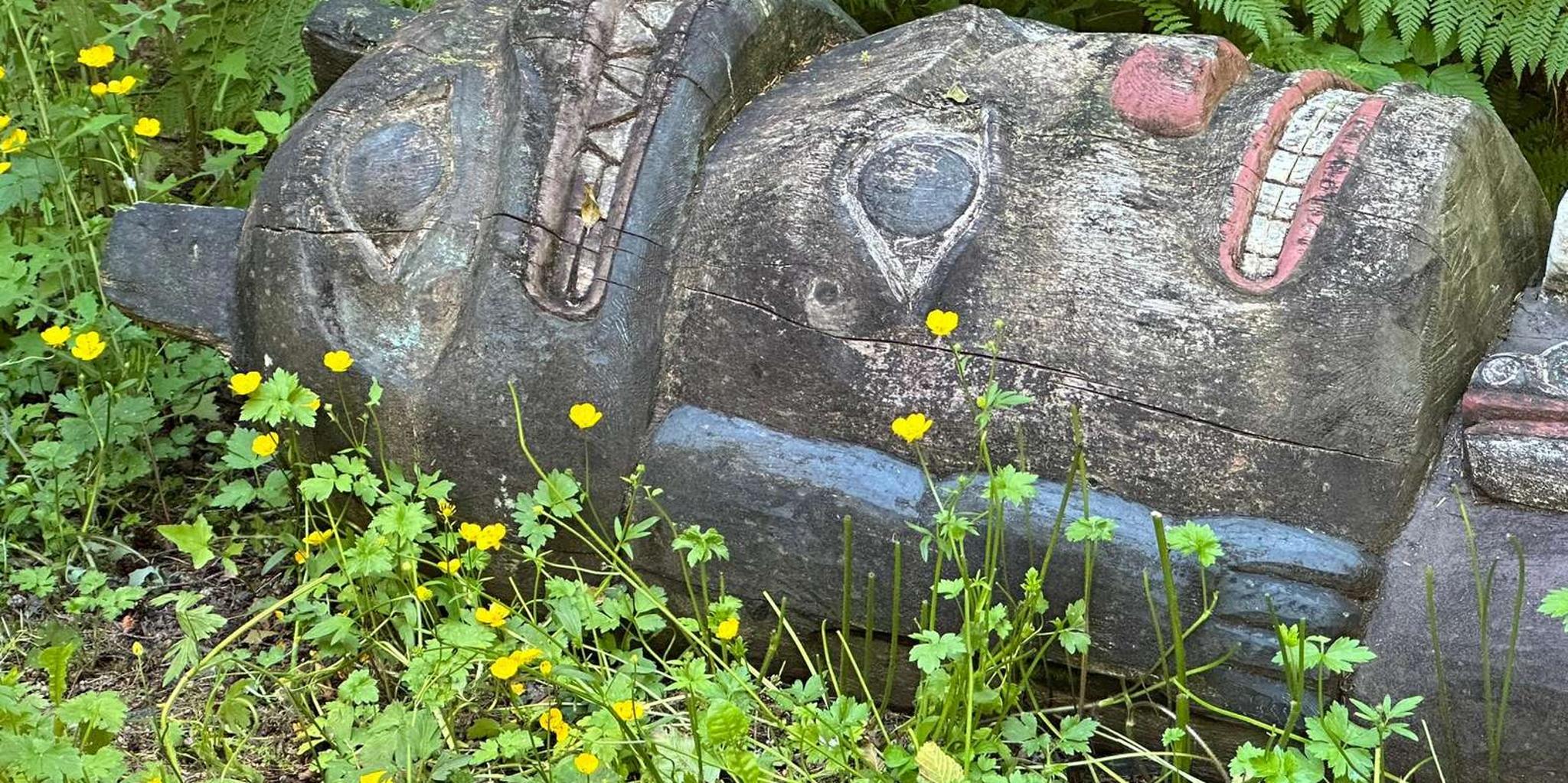 Ketchikan Rainforest Walk and Totem Park Tour - Image 2