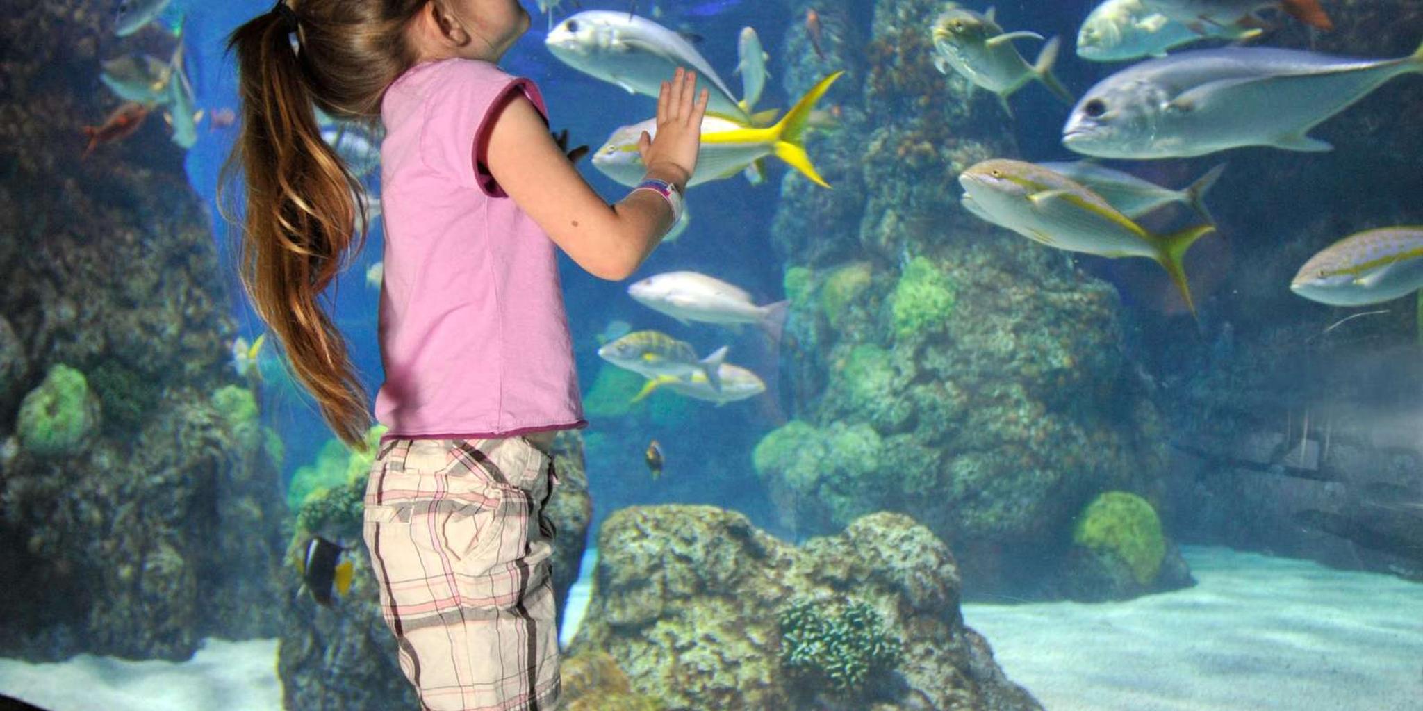 Denver Aquarium All-Day Pass - Image 2