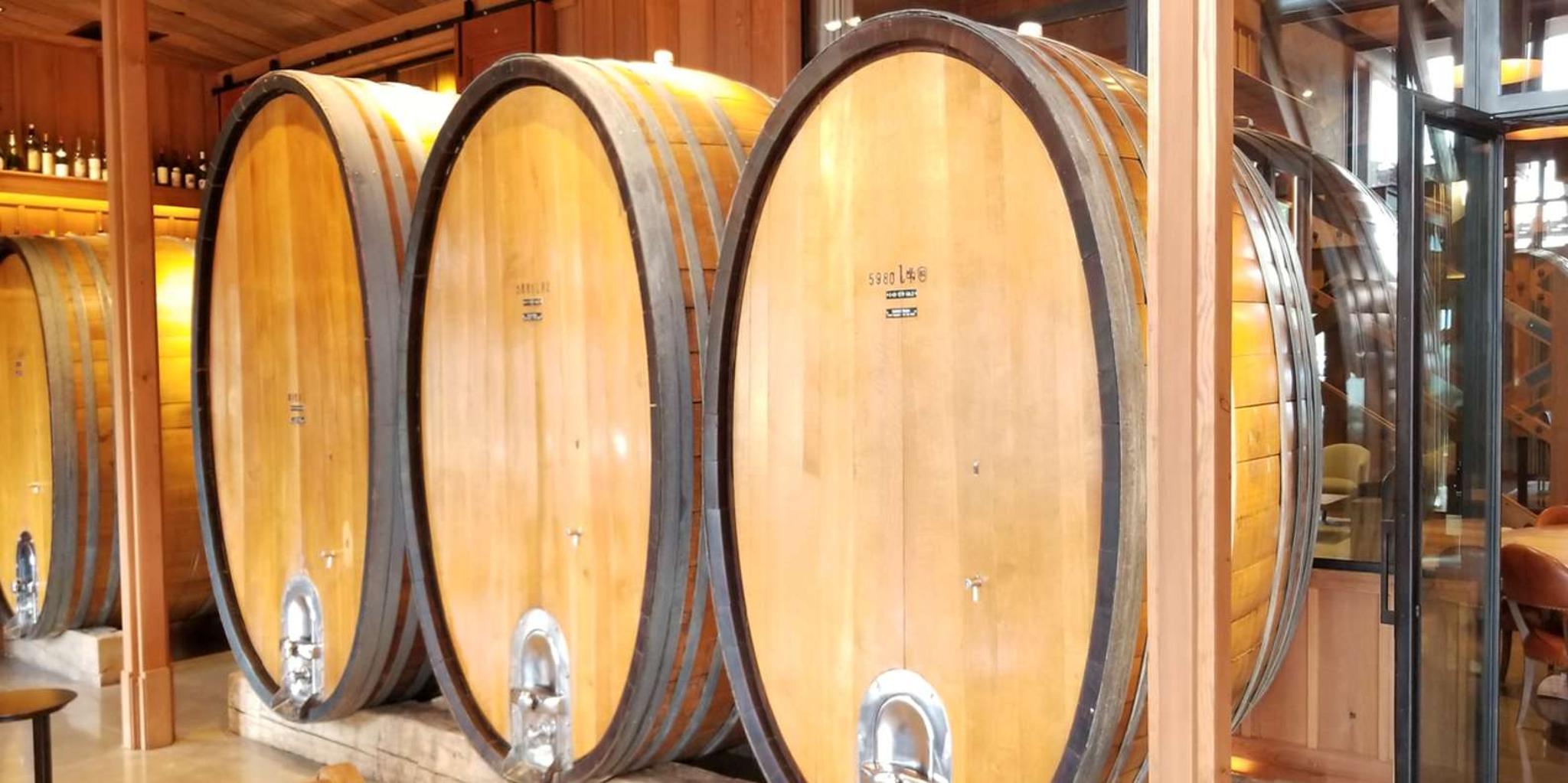 San Francisco Muir Woods, Sausalito, and Sonoma Wine Tour
