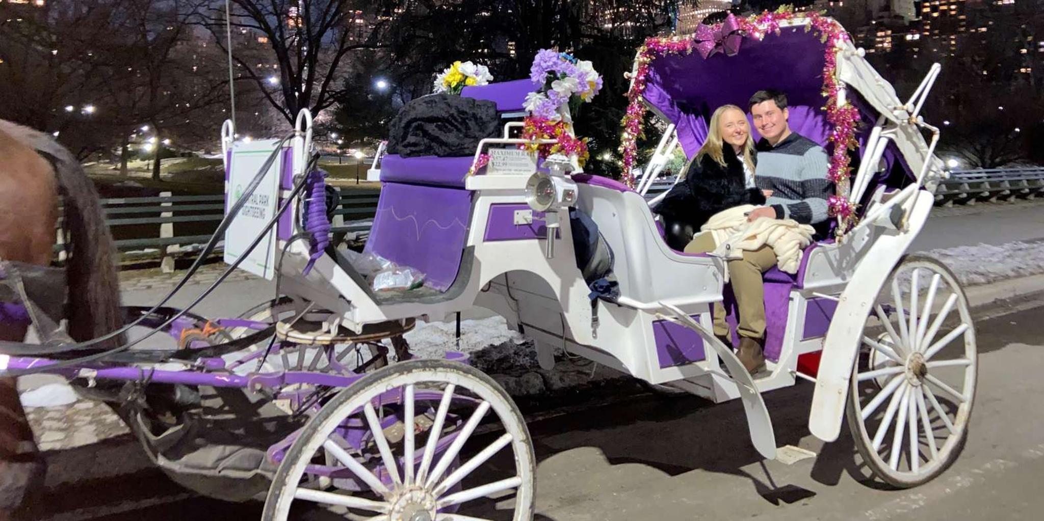 New York City Christmas Lights Horse Carriage Ride - Image 2