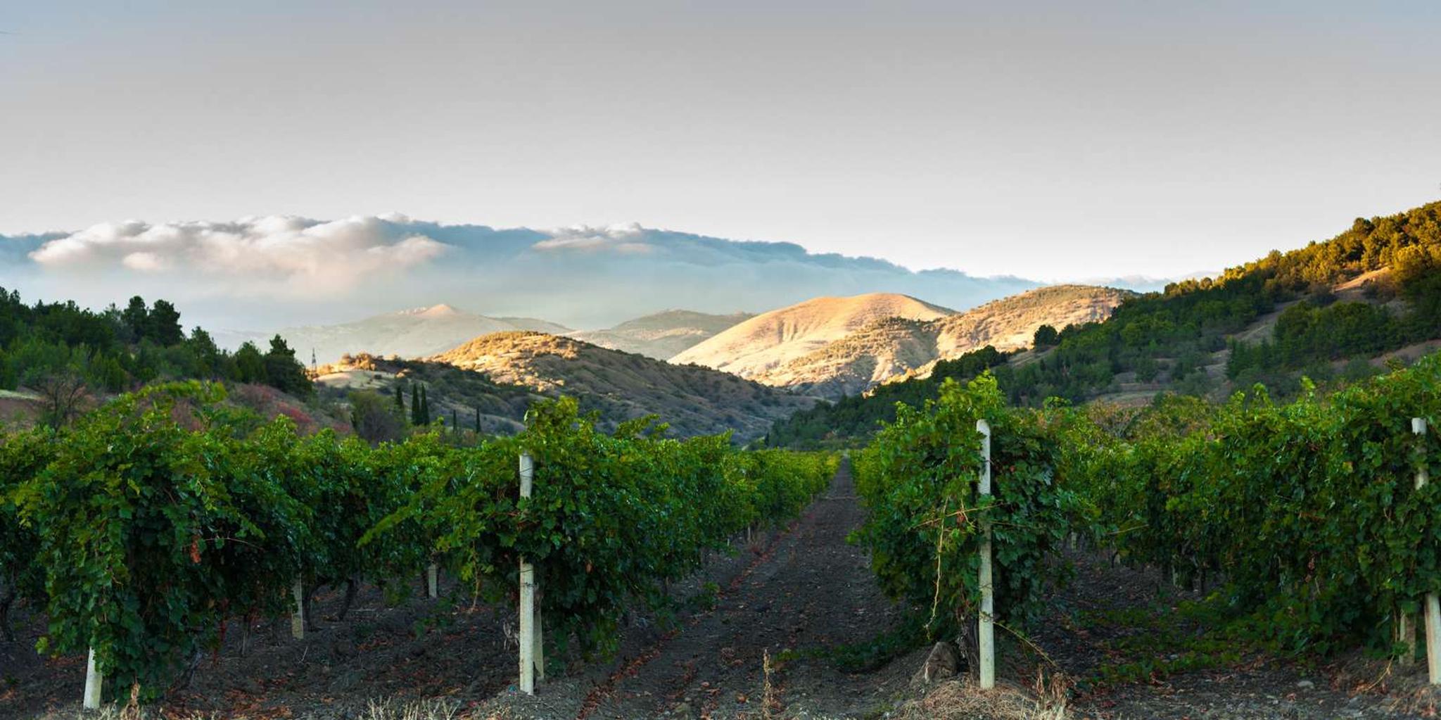 Amador County Wine Tasting Digital Passport - Image 3