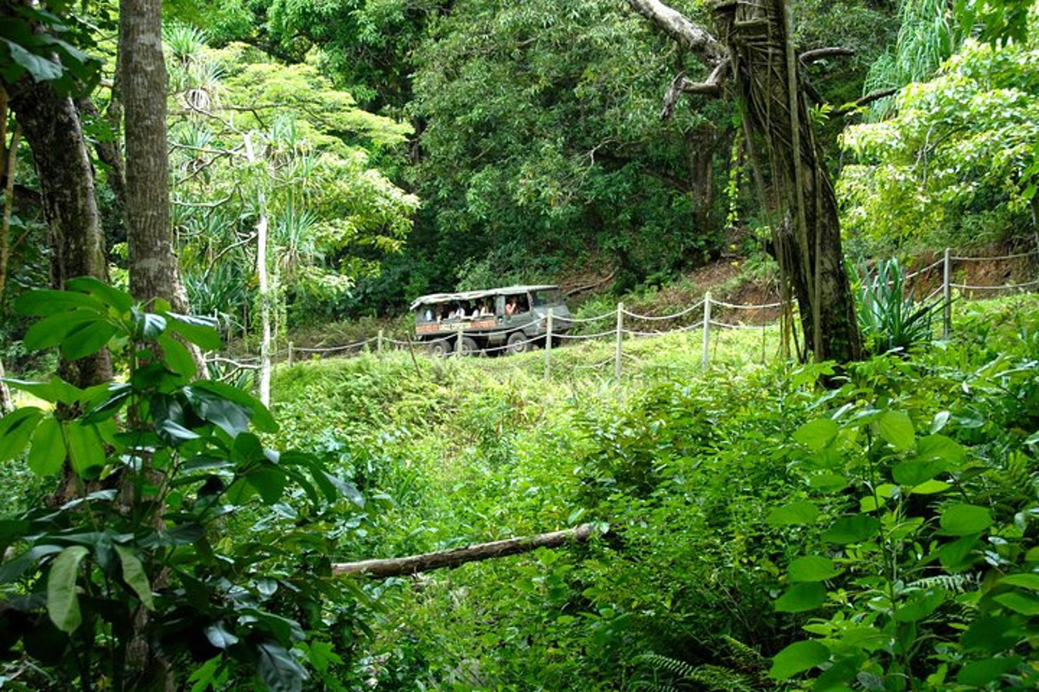 Kaneohe Jungle Expedition Tour - Image 2