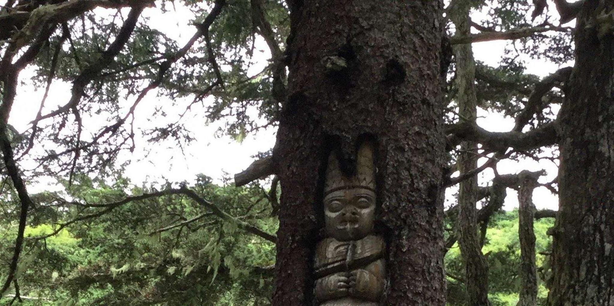 Juneau Alaska Native Tour with Tram Ride - Image 1