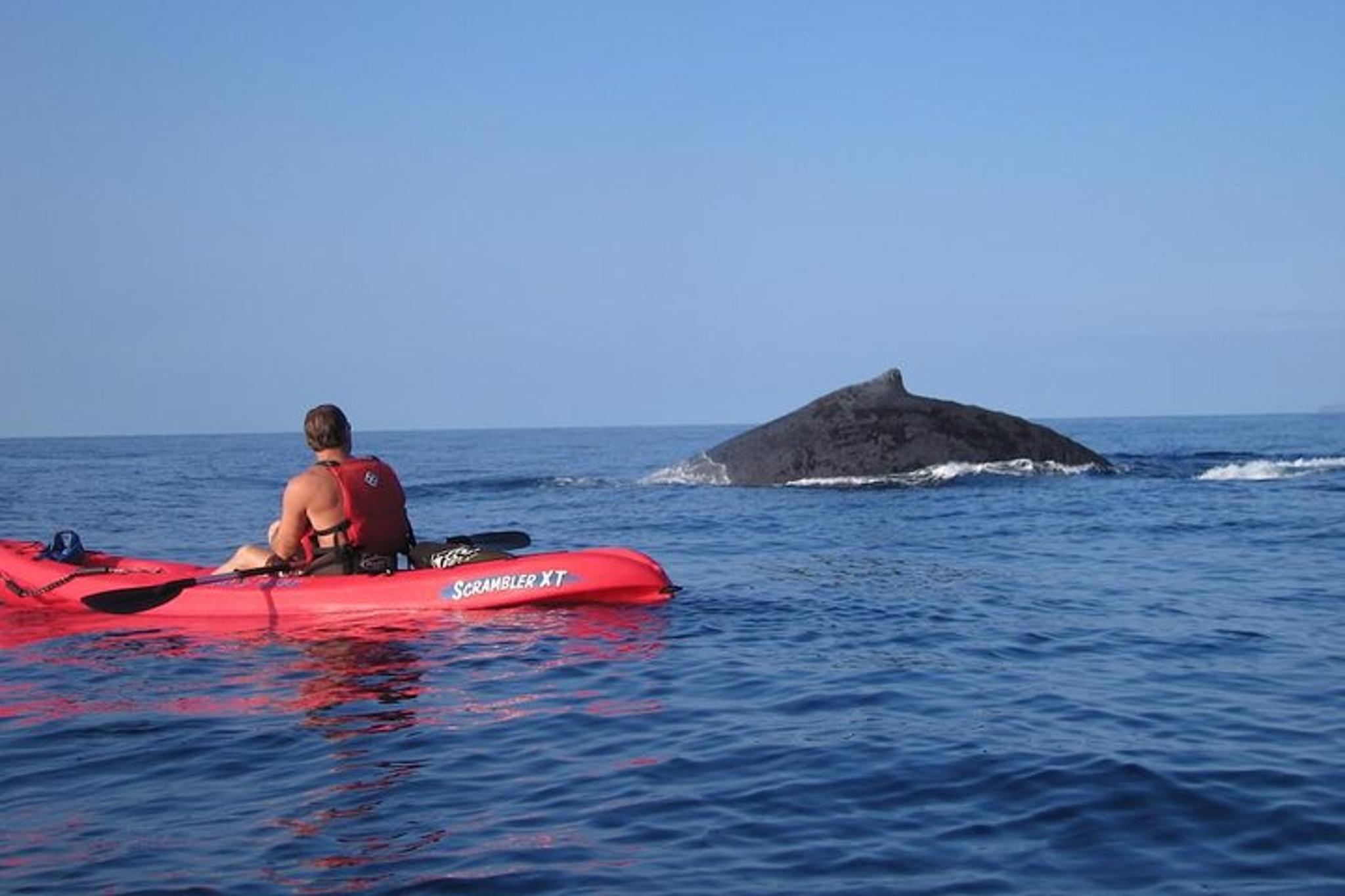 Makena Waterfall Hike and Kayak Snorkel - Image 4