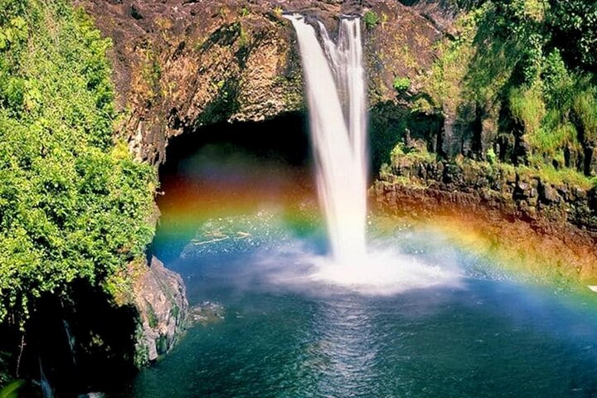 Hilo Private Shore Excursion and Waterfalls Tour - Image 5