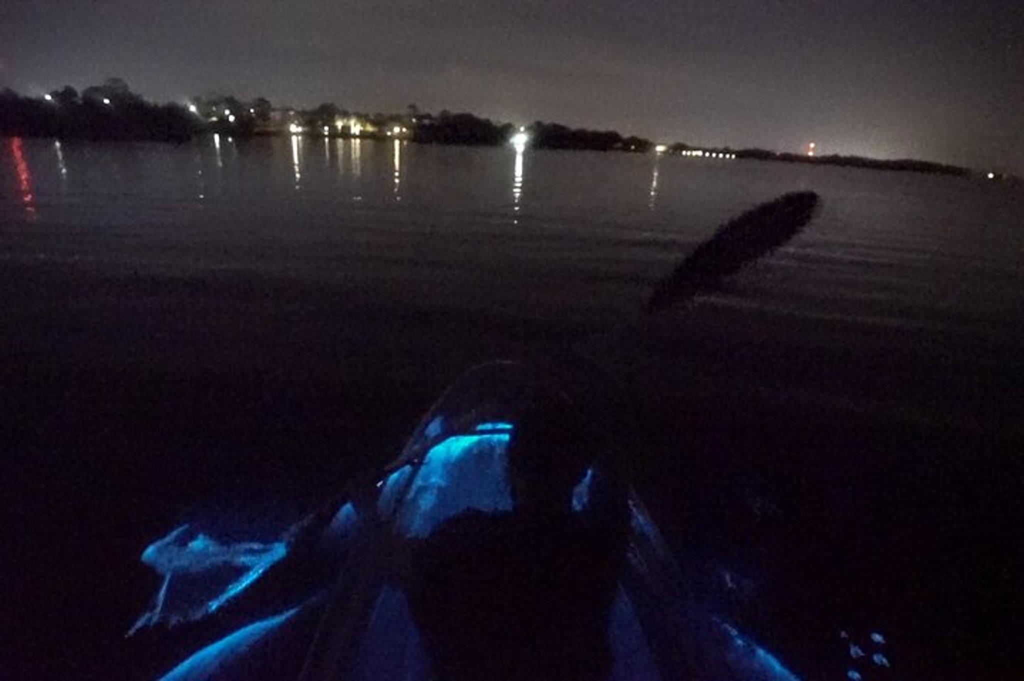 Merritt Island Clear Kayak Bioluminescence Tour 2 hr - Image 4