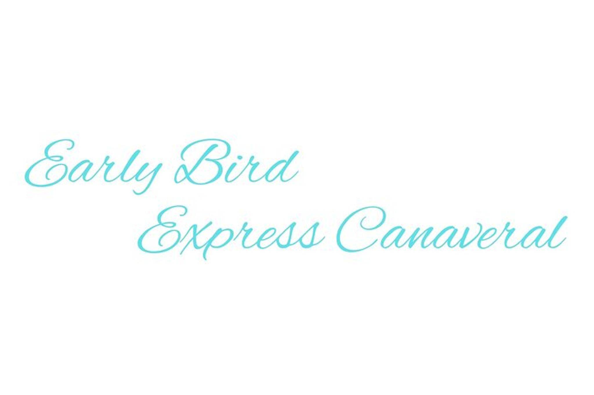 Cape Canaveral Cruise Ship Private Transportation - Image 4