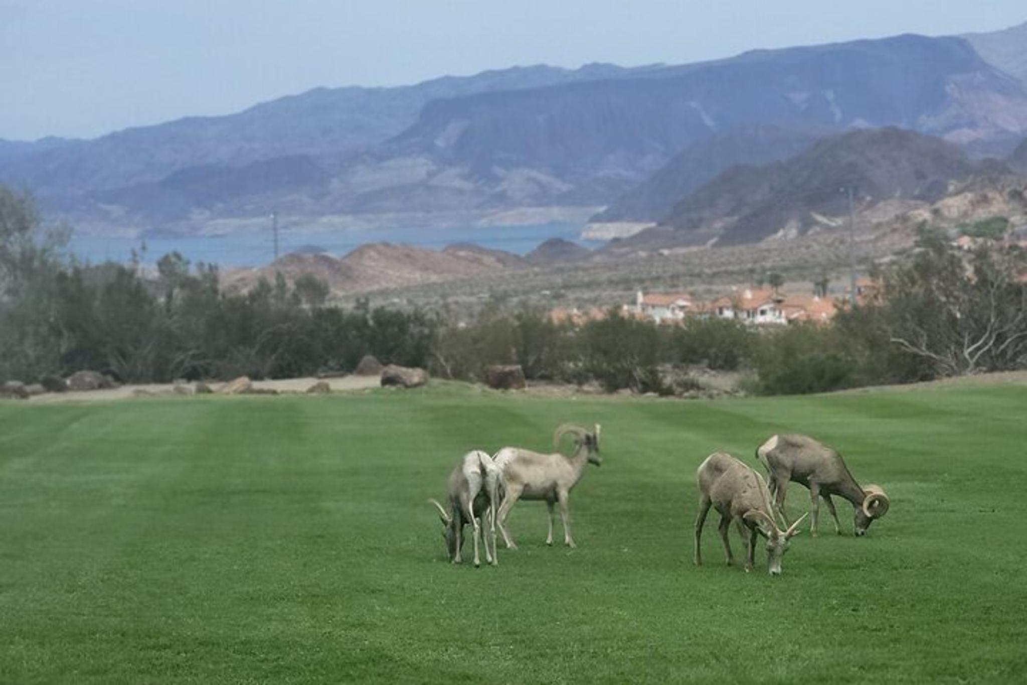Las Vegas Can-Am Trike Self-Guided Tour - Image 6